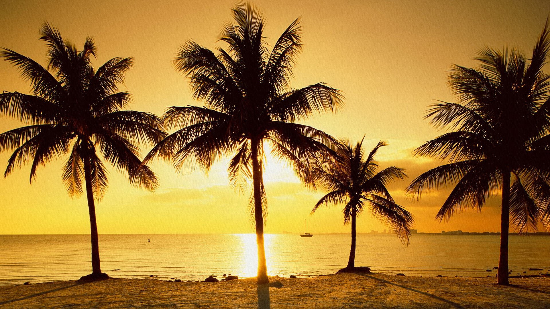 idyllic, tree, outdoors, water, tropical tree, beautiful photos of nature scenery  1920x1080, plant, horizon, palm tree, sky, beauty in nature, tranquility, HD Wallpaper