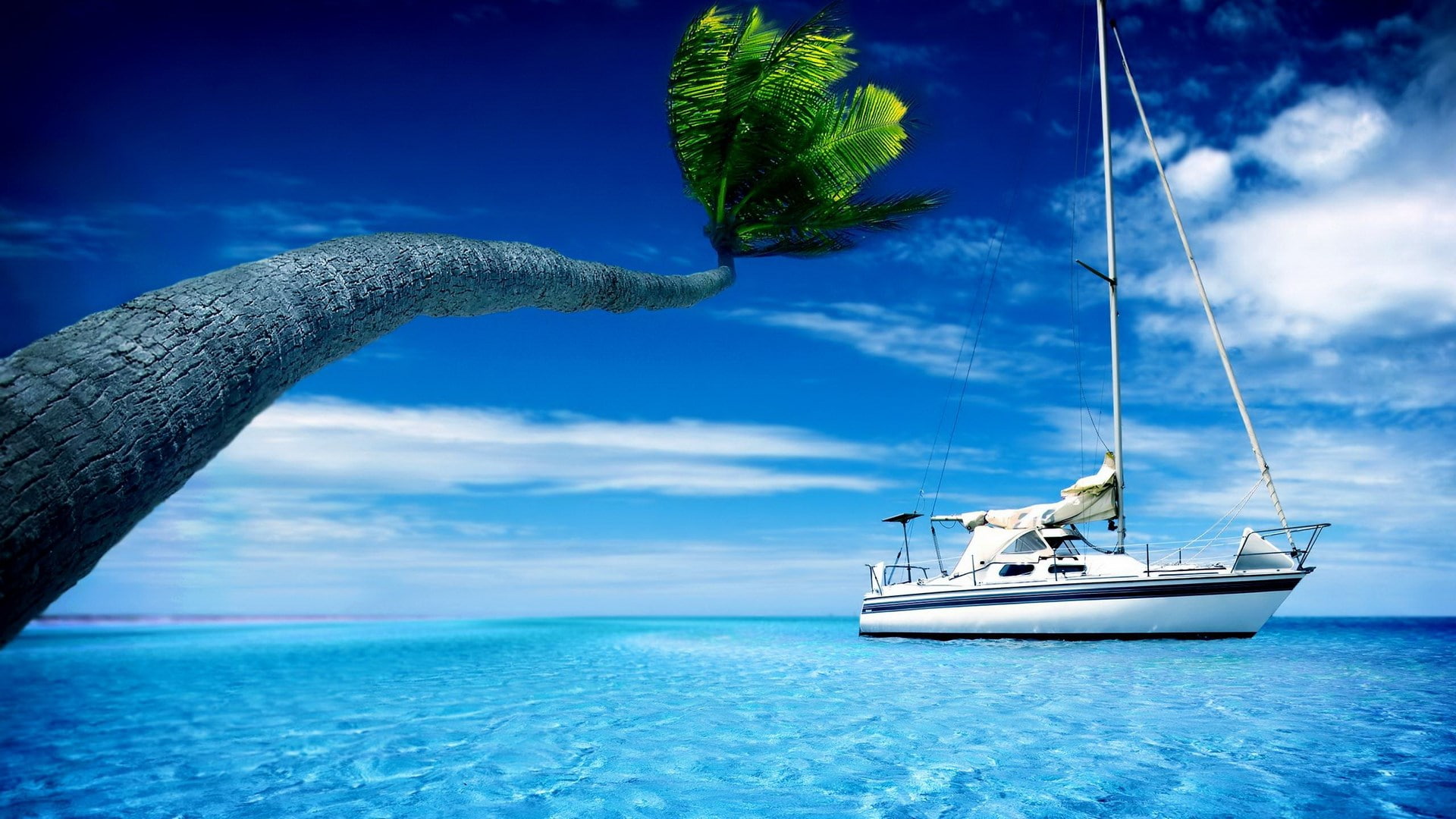 beauty in nature, tree, yacht, nautical vessel, outdoors, sailboat, blue, horizon over water, 1080P, yachting, palm tree, sky, plant, sea, luxury, tropical climate, HD Wallpaper