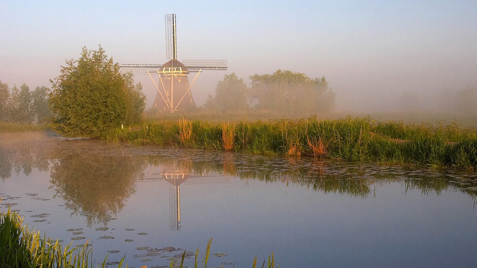 1080P, wind power, tranquility, environmental conservation, renewable energy, no people, plant, traditional windmill, beautiful scenes of nature hd pictures 1920x1080, HD Wallpaper