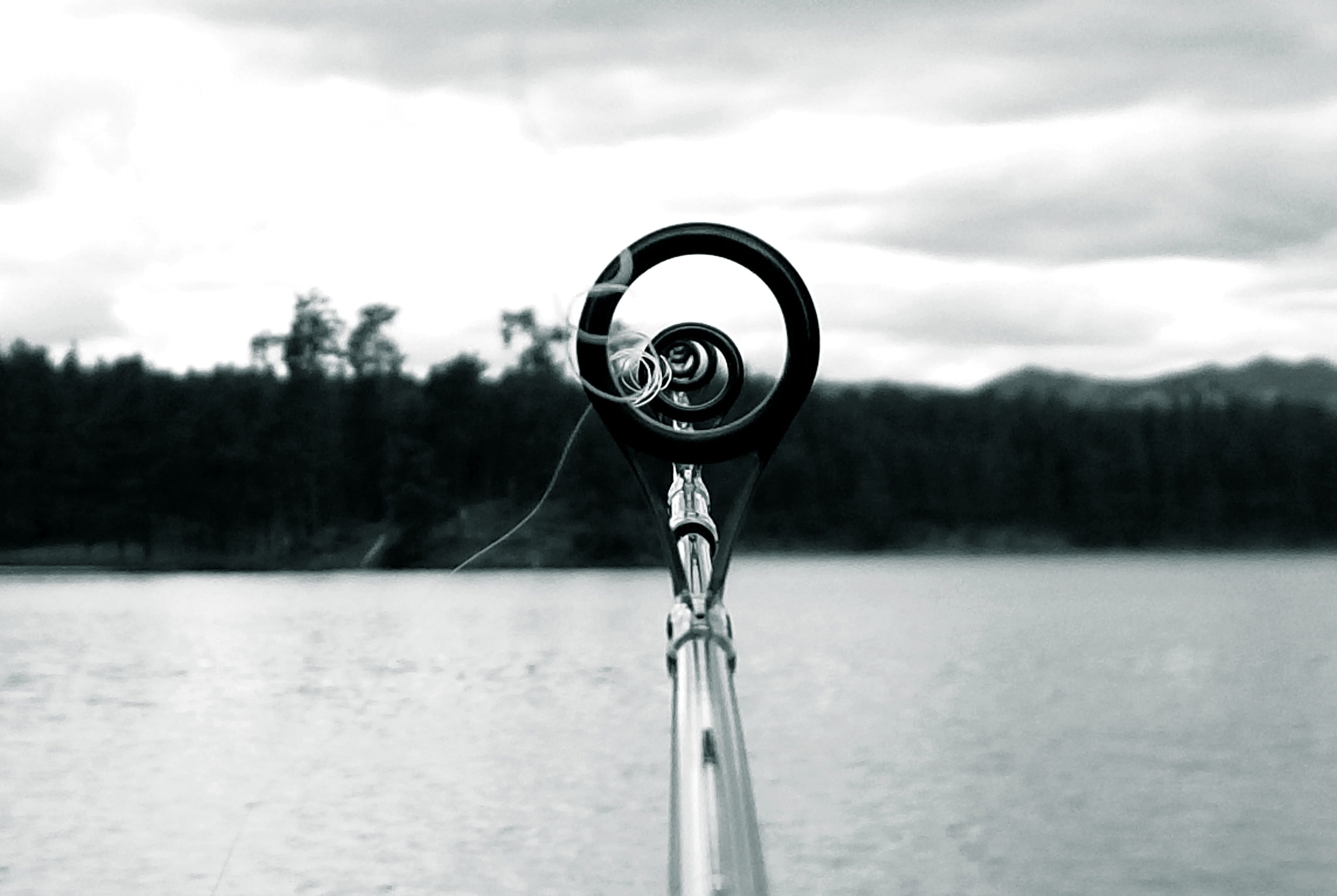 Fishing, black and white, water, 2K, tranquility, Black Hills, scenics - nature, fishing pole, focus on foreground, day, Lake, cloud - sky, plant, tranquil scene, HD Wallpaper