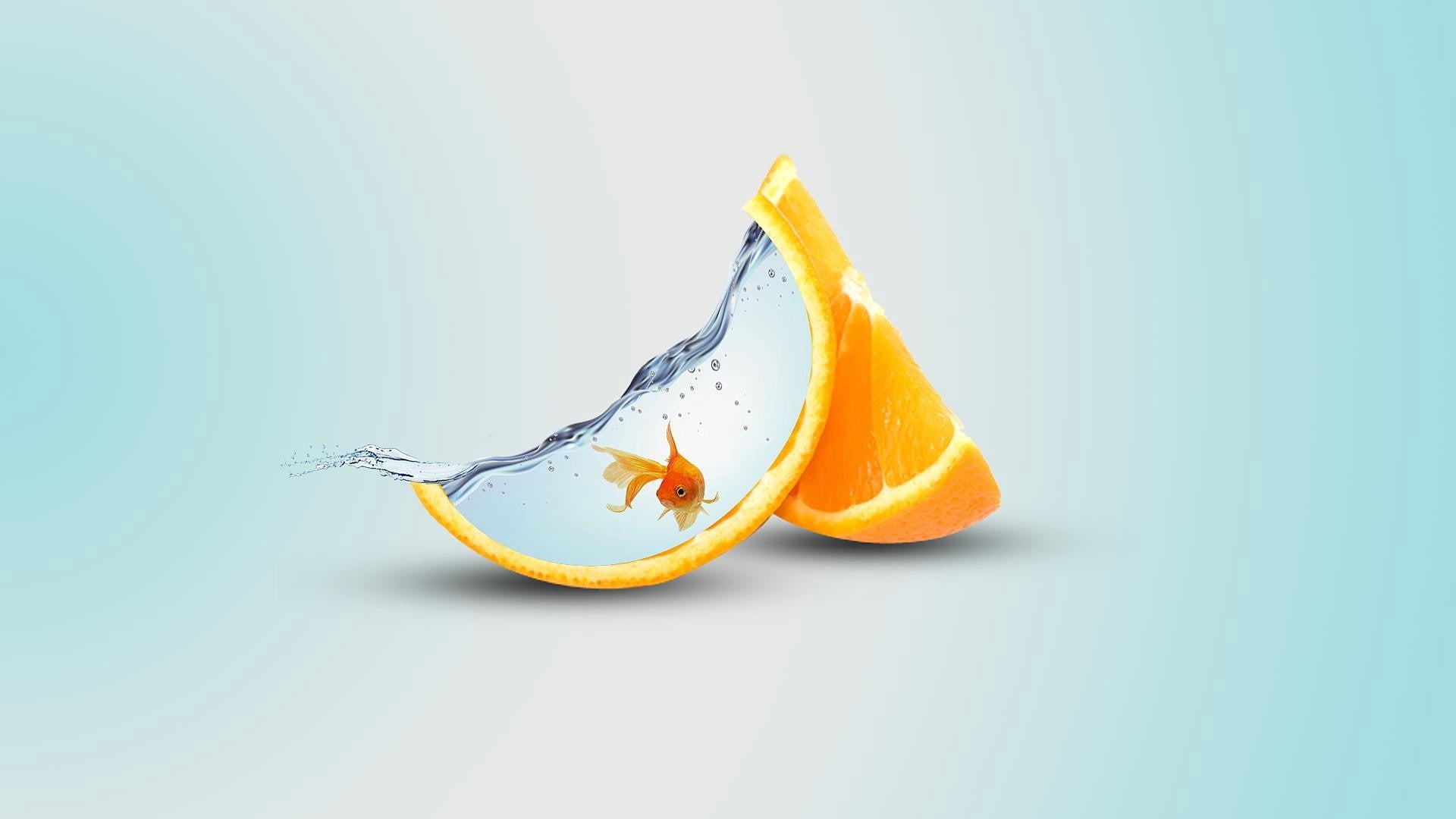 Manipulation, Water, Gold Fish, 1080P, Fish, orange (Fruit), Food, Artistic, HD Wallpaper