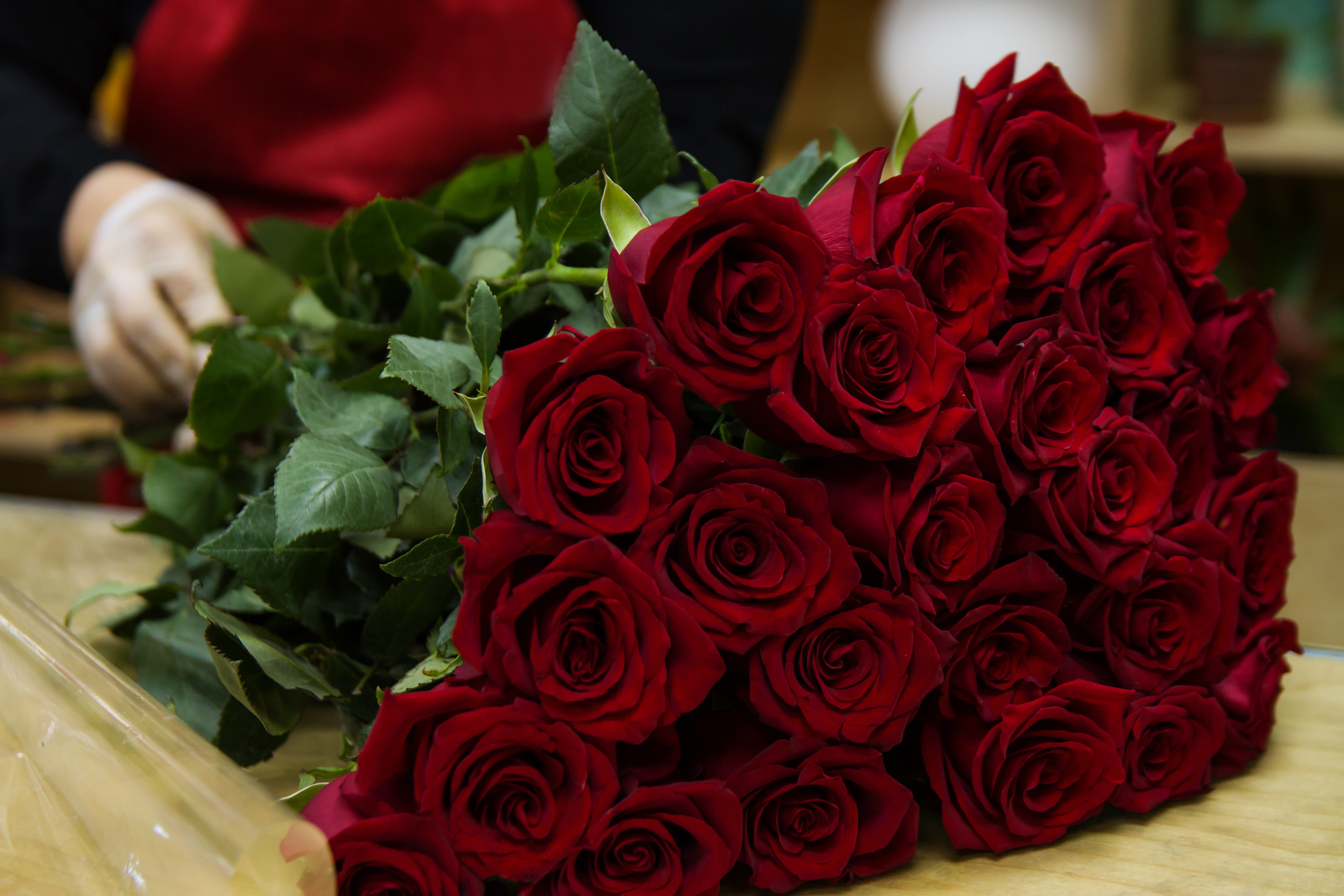 indoors, freshness, inflorescence, bouquet, petal, rose, 5K, woman, fragility, happiness, red, flowers, plant, flowering plant, flower head, flower arrangement, HD Wallpaper