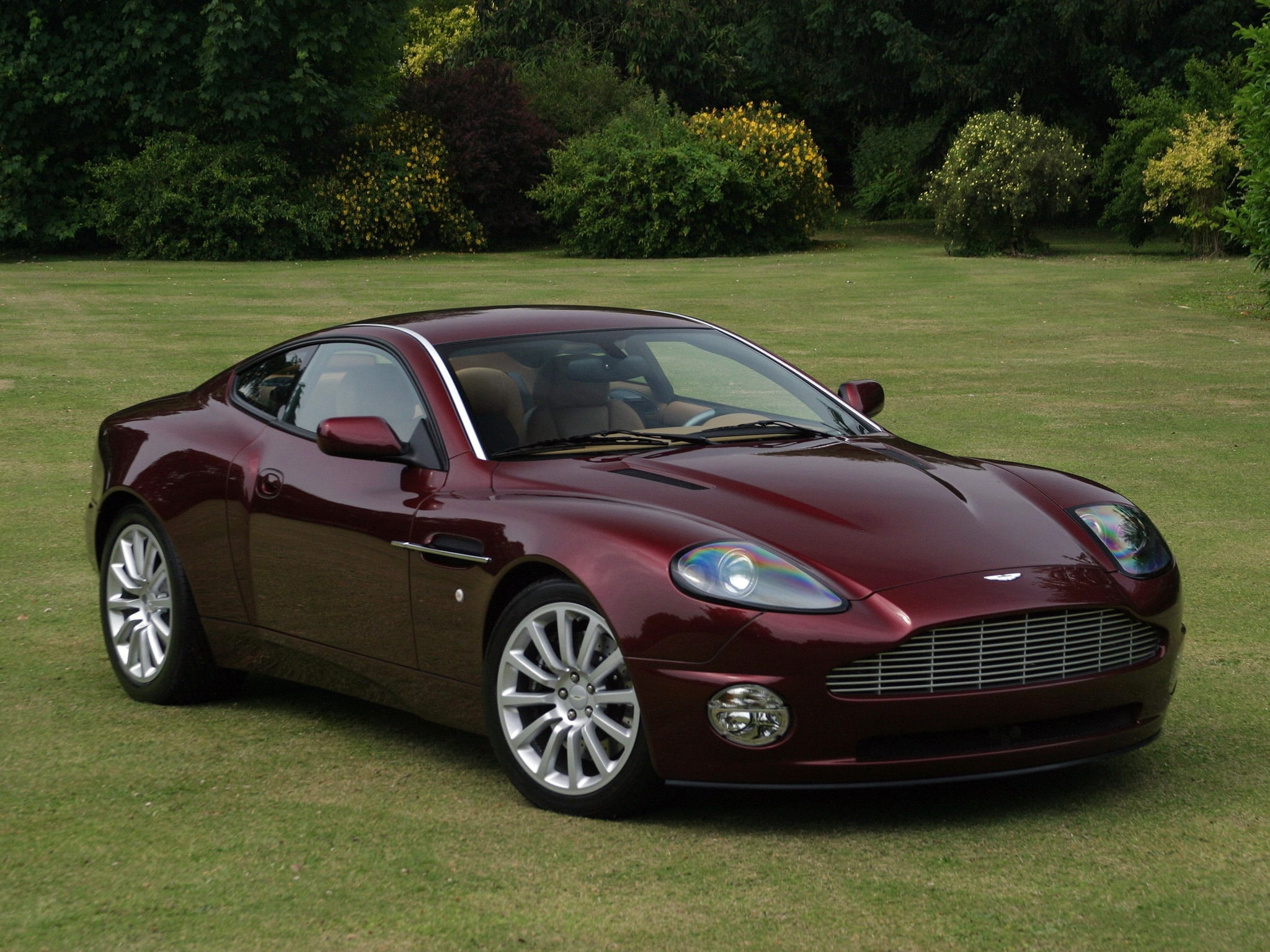 growth, 1080P, chrome, retro styled, front View, mode of Transport, sports Car, elegance, wealth, field, plant, modern, wheel, side View, red, land, vanquish, HD Wallpaper