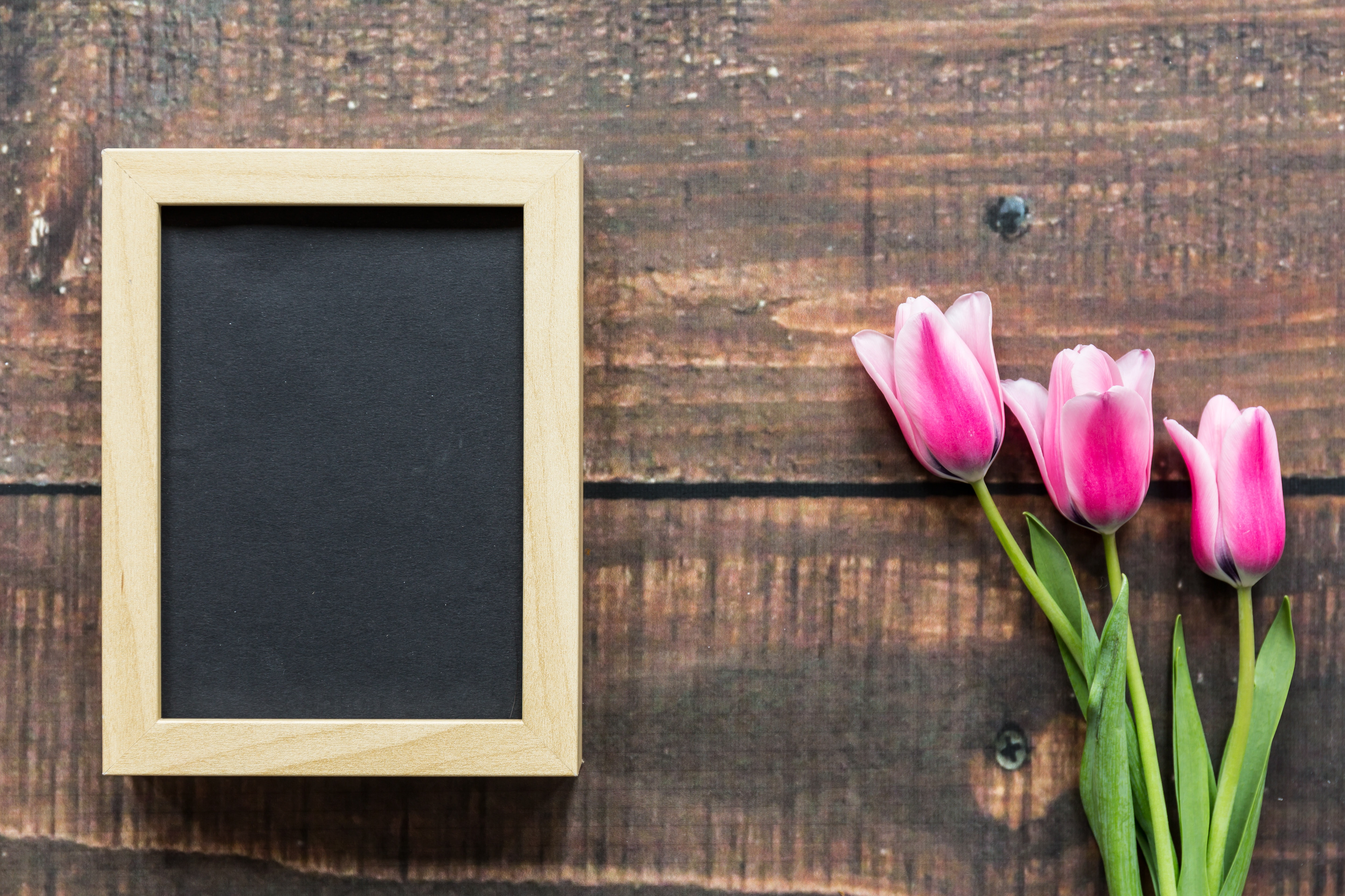 romantic, tulips, March 8, frame, pink tulips, flowers, love, wood, 5K, pink, HD Wallpaper