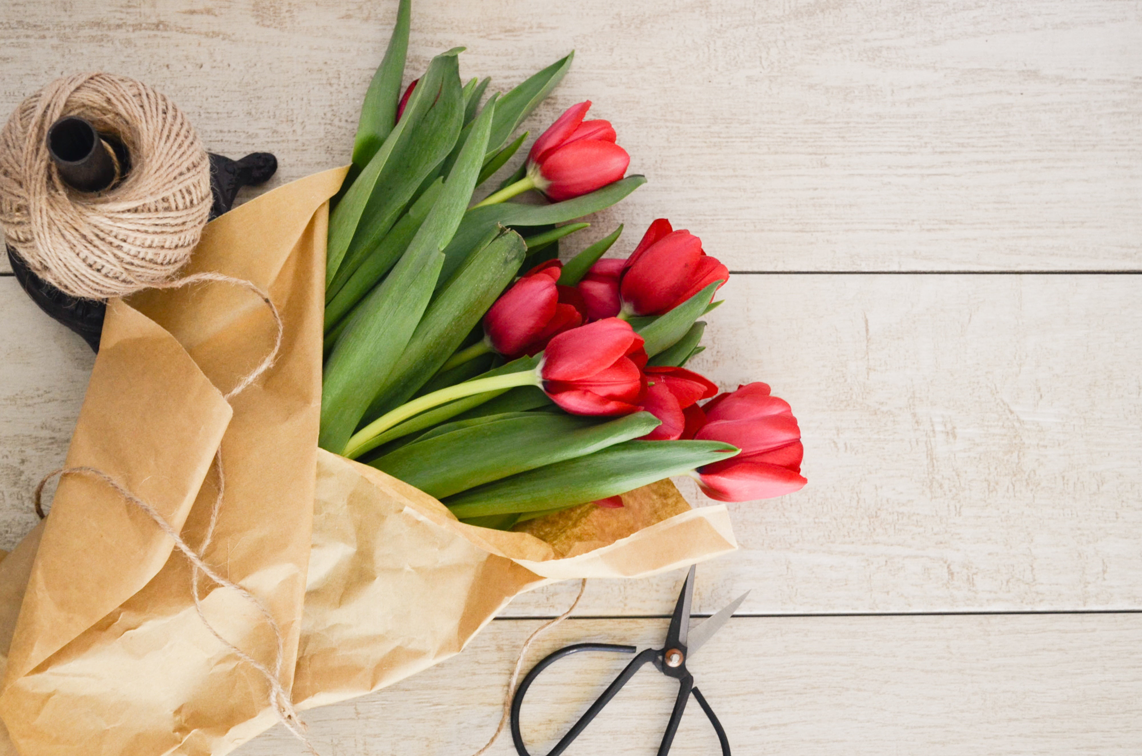 power, 4K, Tulips, paper, March 8, scissors, Tulip, International Womens Day, Kraft, HD Wallpaper