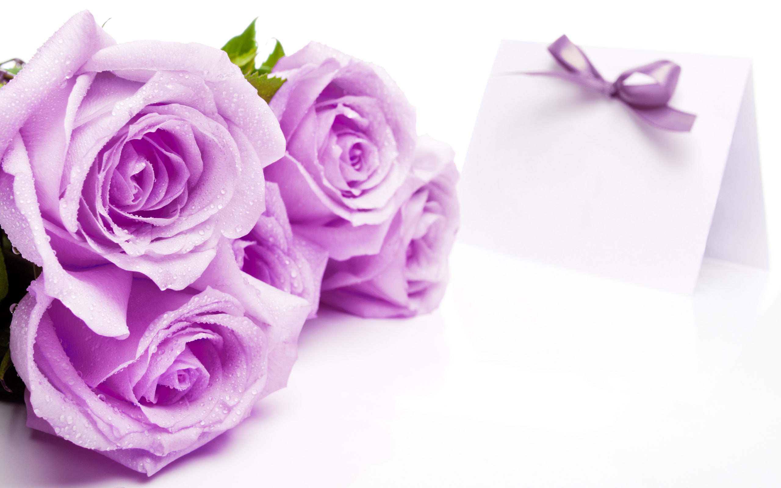 flowers, 2K, postcard, March 8, holiday, roses, HD Wallpaper