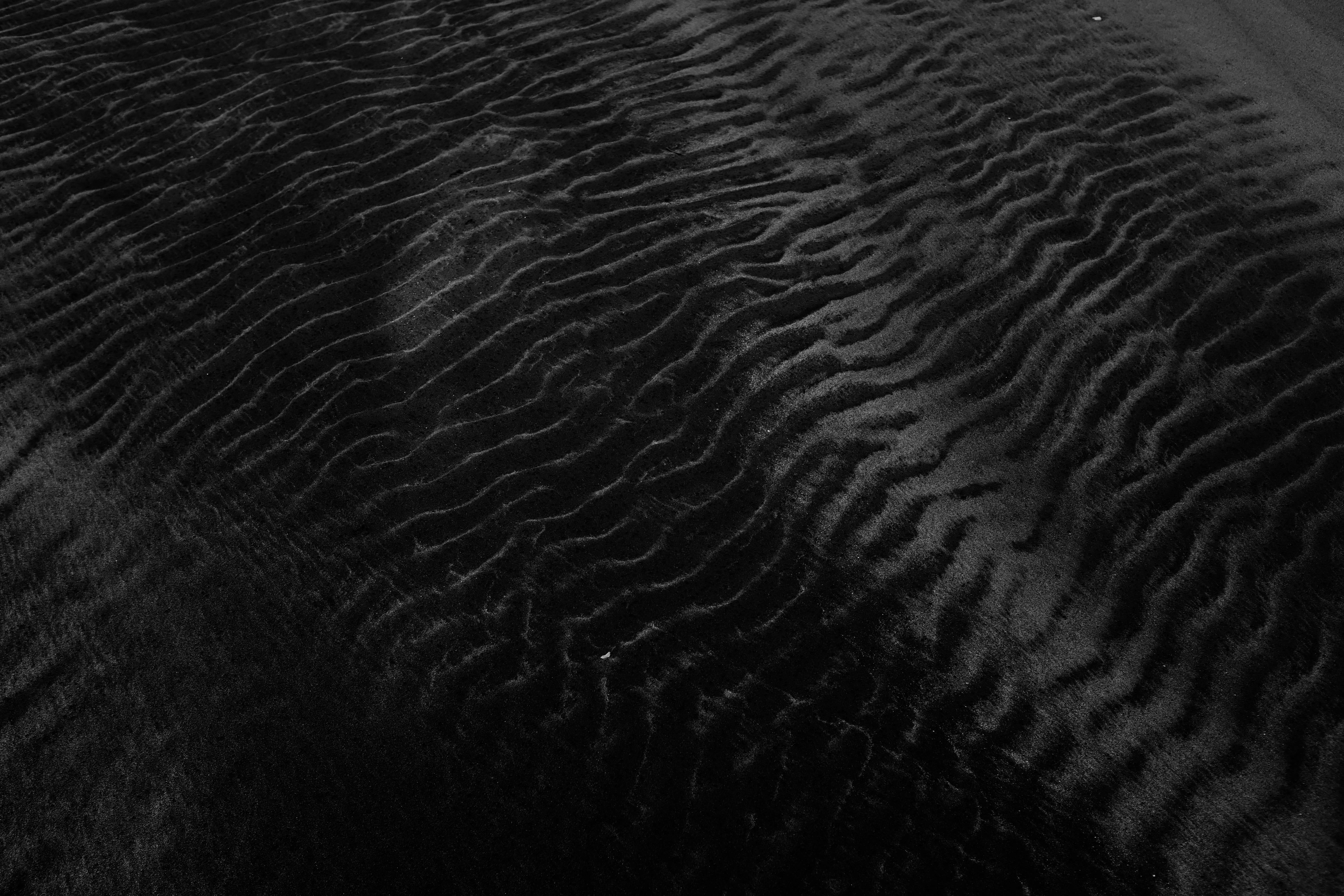 animal themes, pike, high angle view, textured, black, nature, scenics - nature, animals in the wild, pattern, fish, beauty in nature, sky, 5K, animal, HD Wallpaper