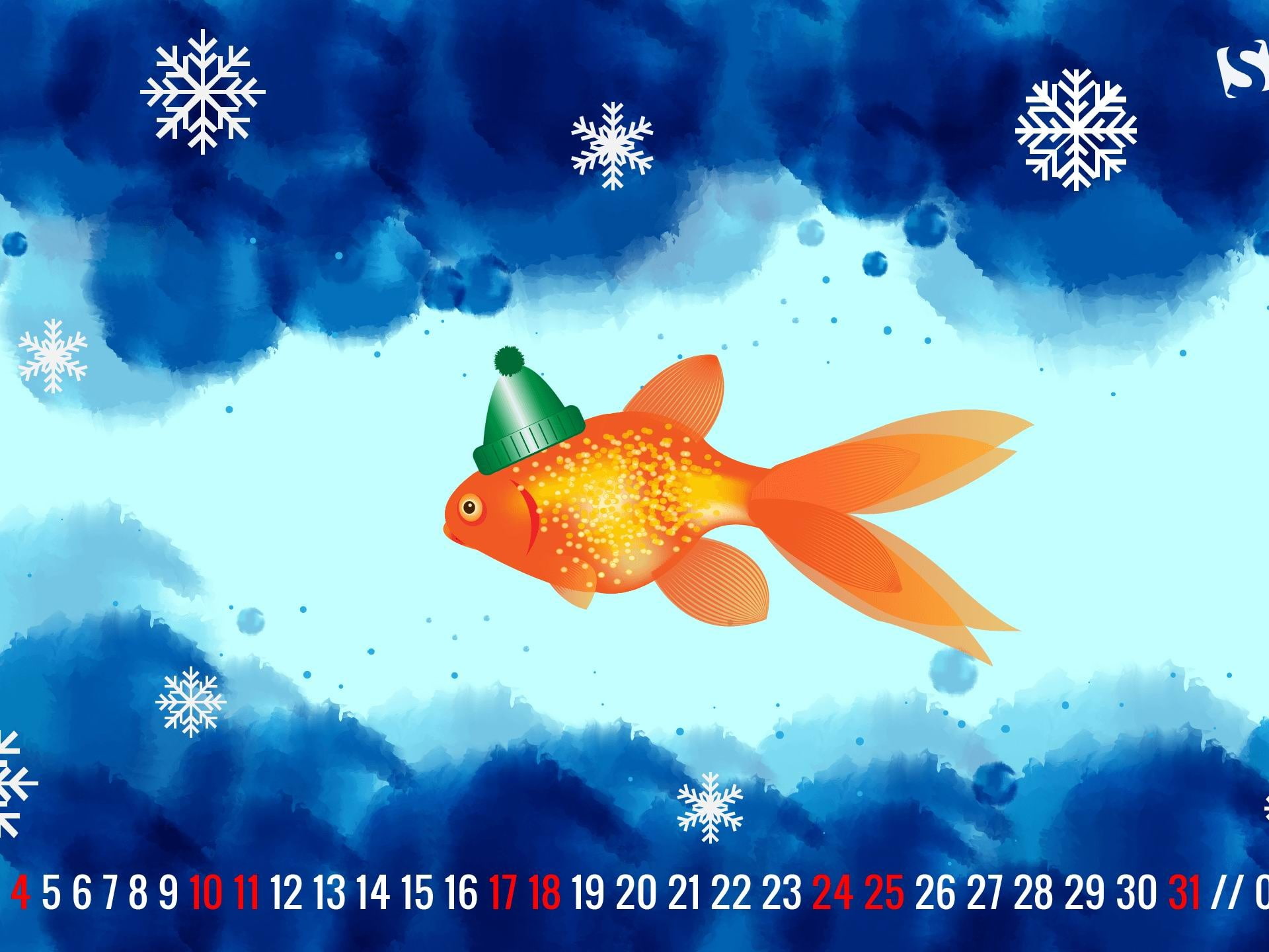 shape, fish, christmas, close-up, blue, hat, indoors, swimming, christmas ornament, vertebrate, glass - material, goldfish, decoration, star shape, january, HD Wallpaper