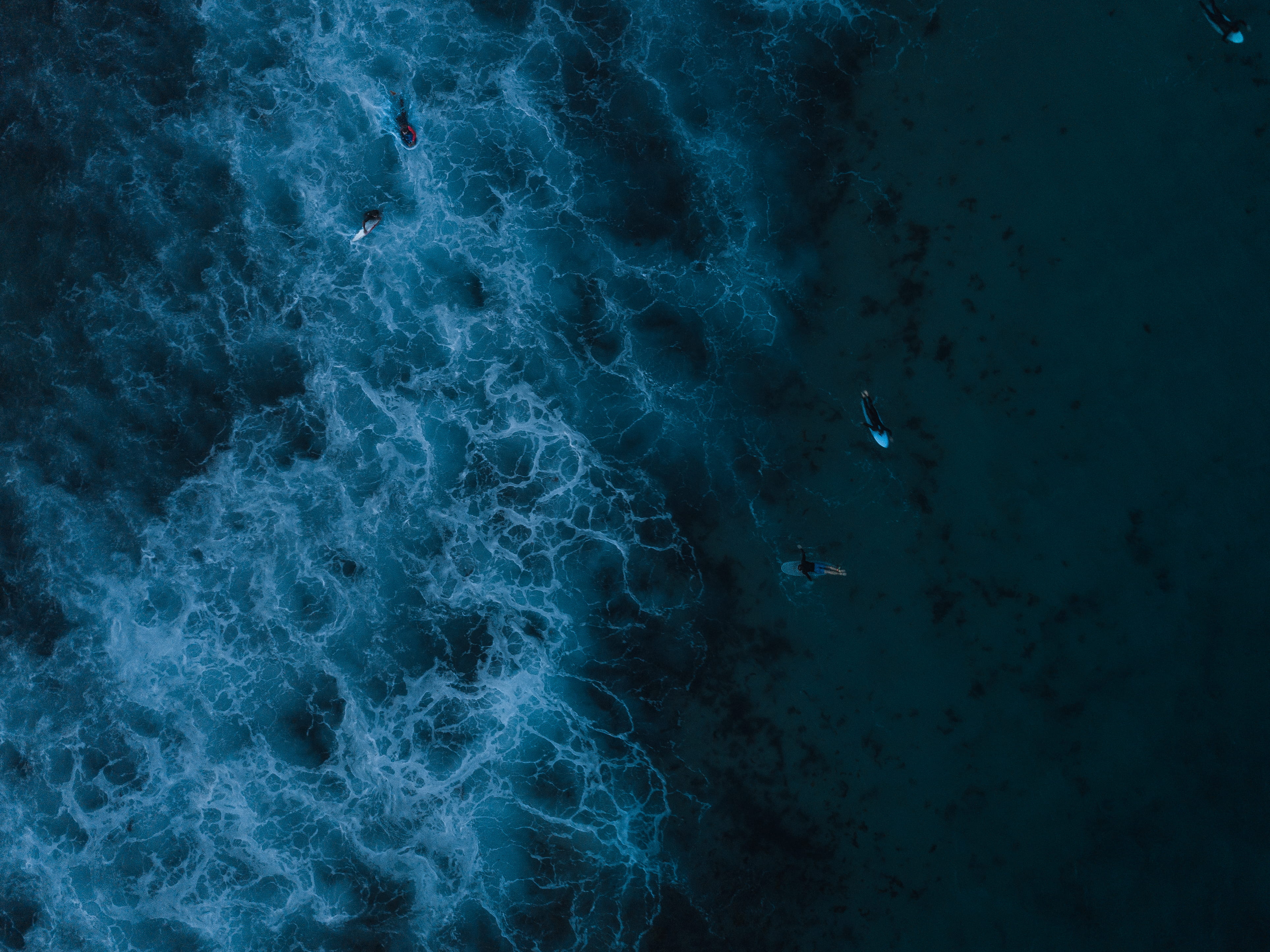 land, bondi beach, reef, animals in the wild, full frame, pattern, outdoors, animal, ornament, water, high angle view, scenery, foam, beauty in nature, HD Wallpaper