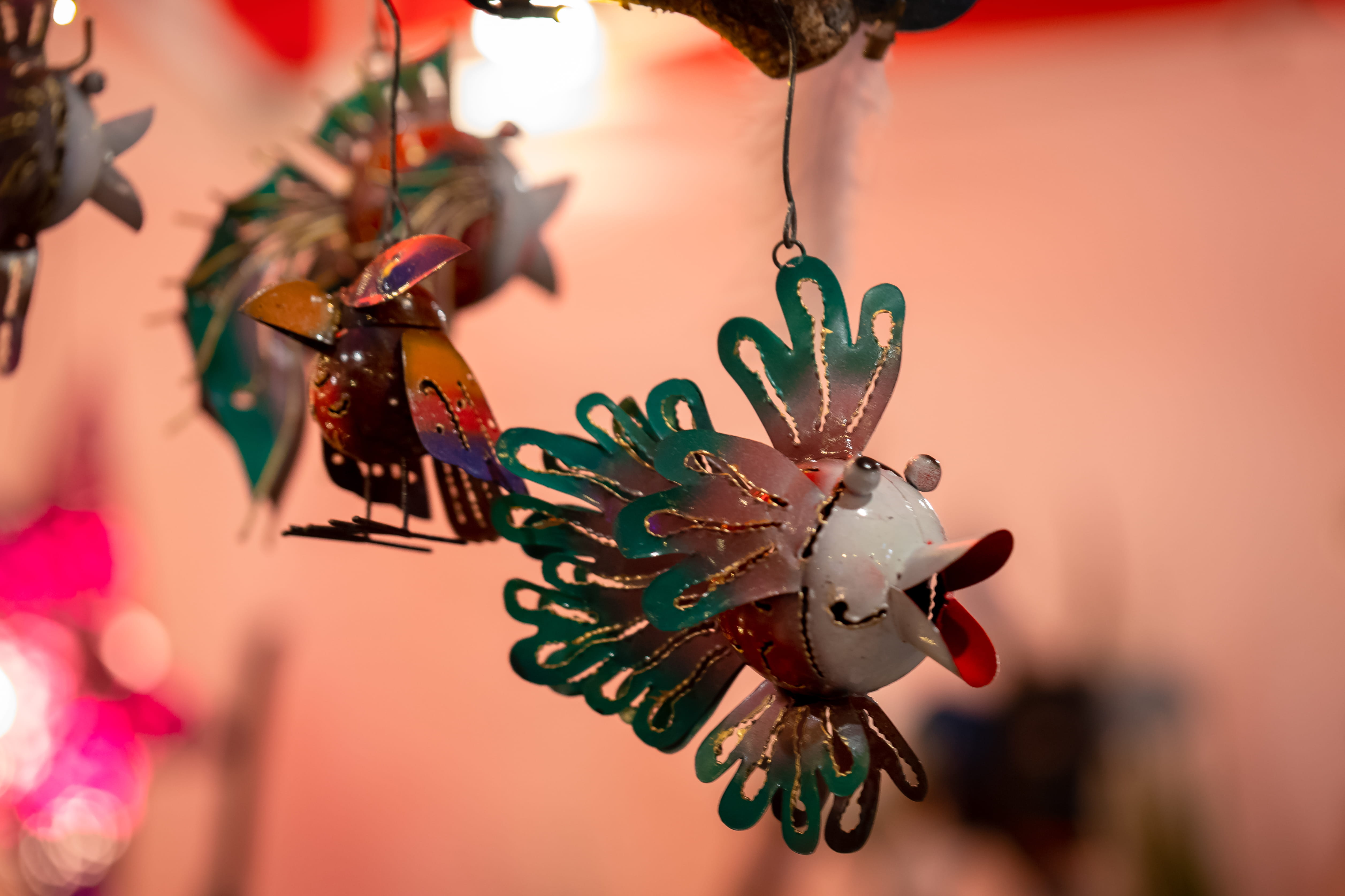animal wing, creativity, market, christmas market, fish, netherlands, representation, lieden, animal themes, art, europe, close-up, decoration, holland, HD Wallpaper