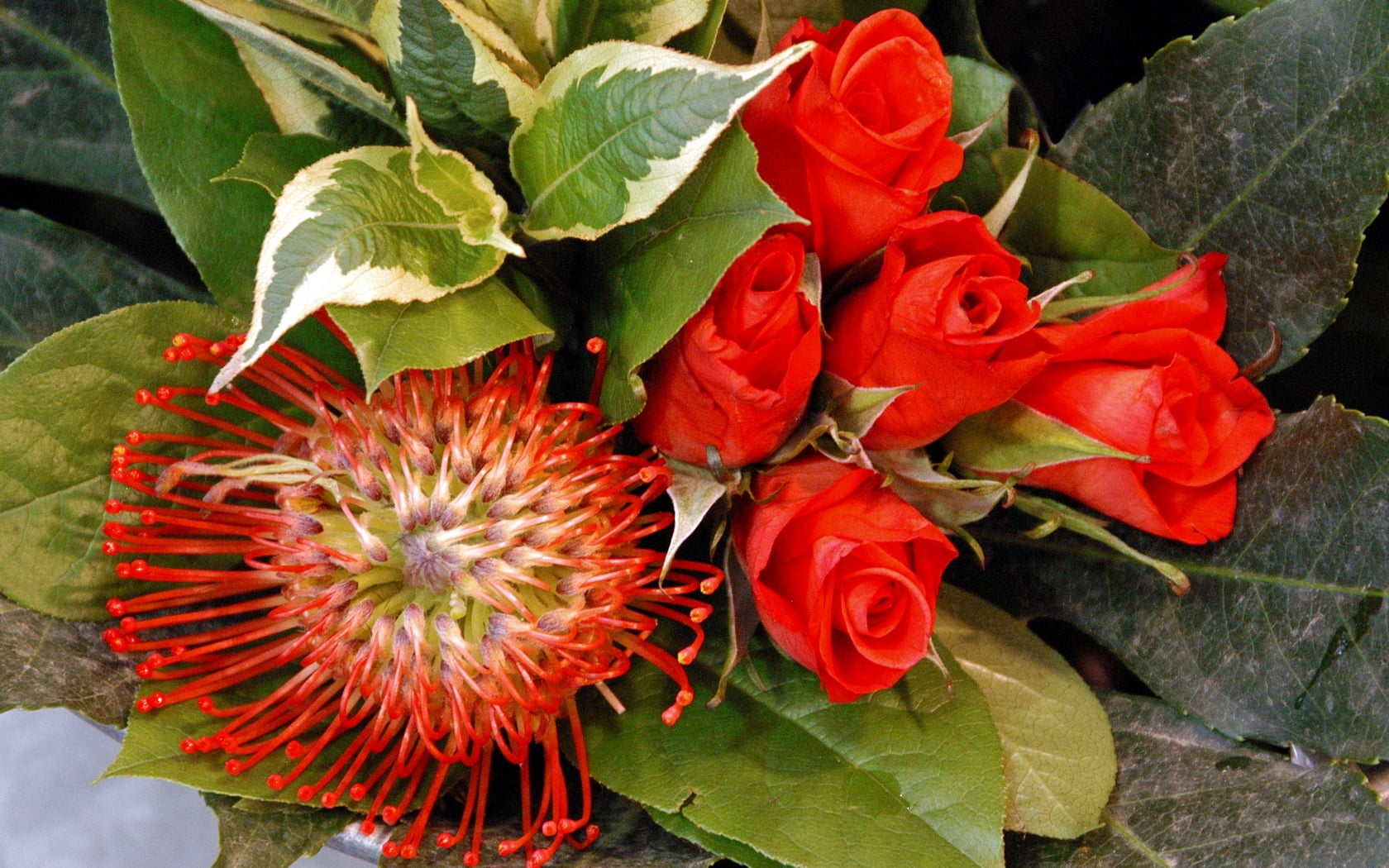 inflorescence, bouquets, plant part, flower Head, decoration, no People, flowering plant, flowers, beauty In Nature, freshness, flower, flower arrangement, HD Wallpaper