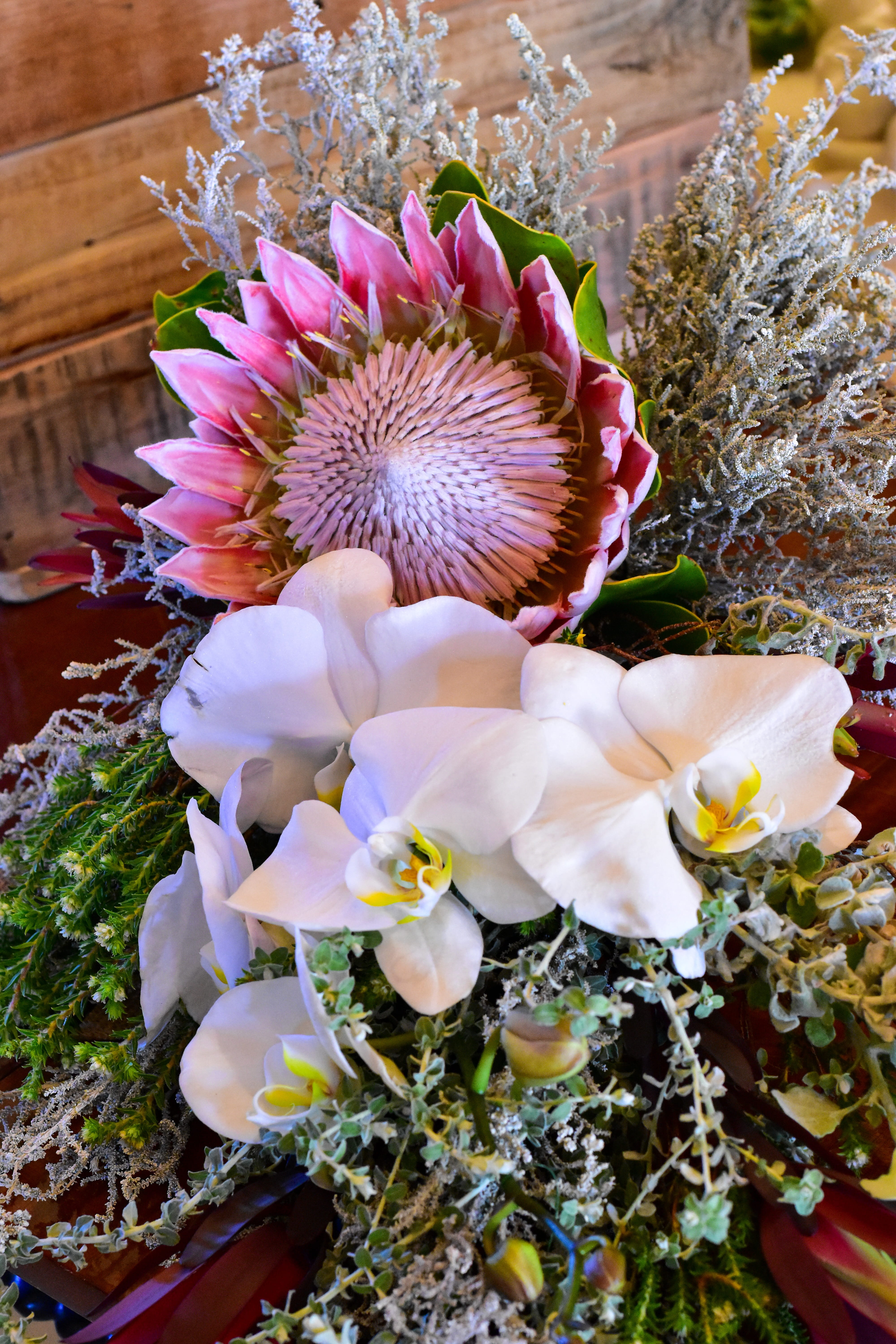 freshness, purple, king protea, focus on foreground, inflorescence, flower arrangement, petal, flowering plant, no people, nature, flower bouquet, fragility, Phone HD Wallpaper