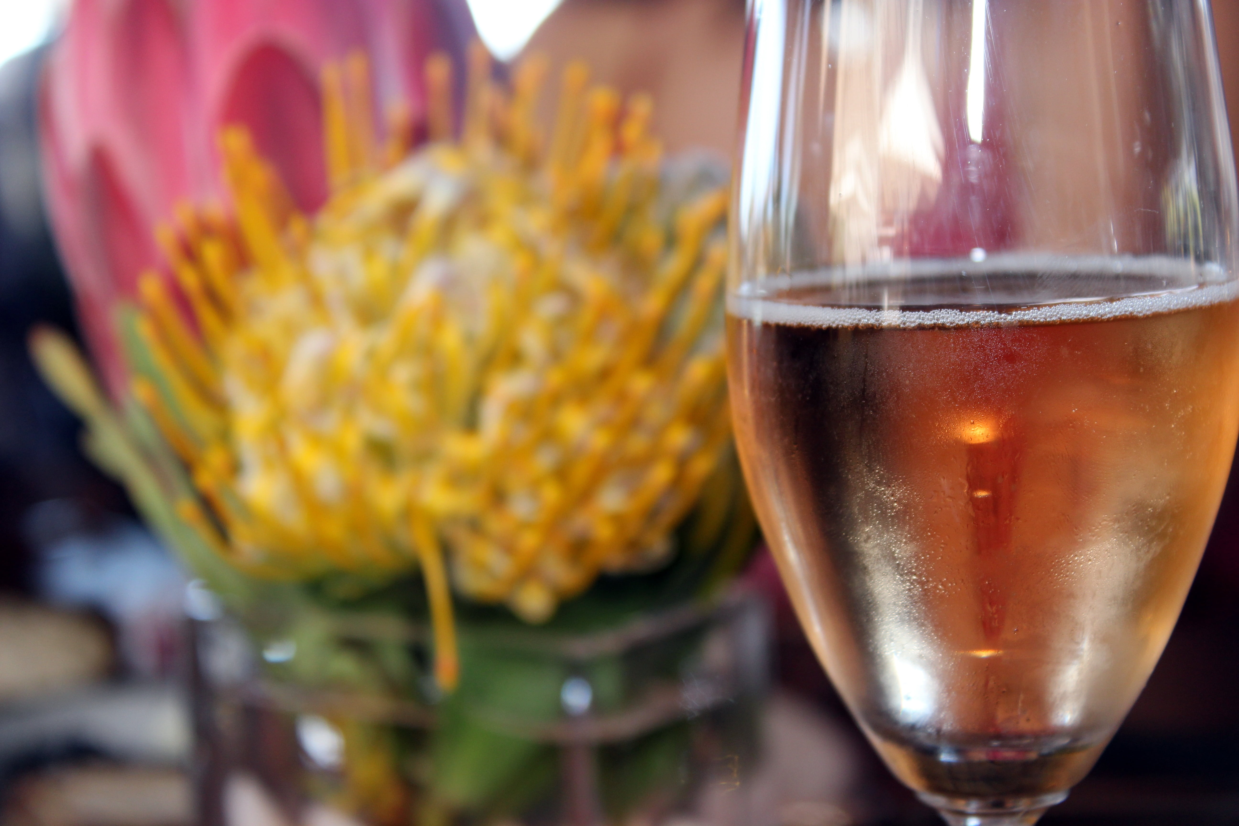 bloom, champagne, flower arrangement, protea, celebration, food and drink, red, south africa, flower, refreshment, africa, nature, focus on foreground, HD Wallpaper