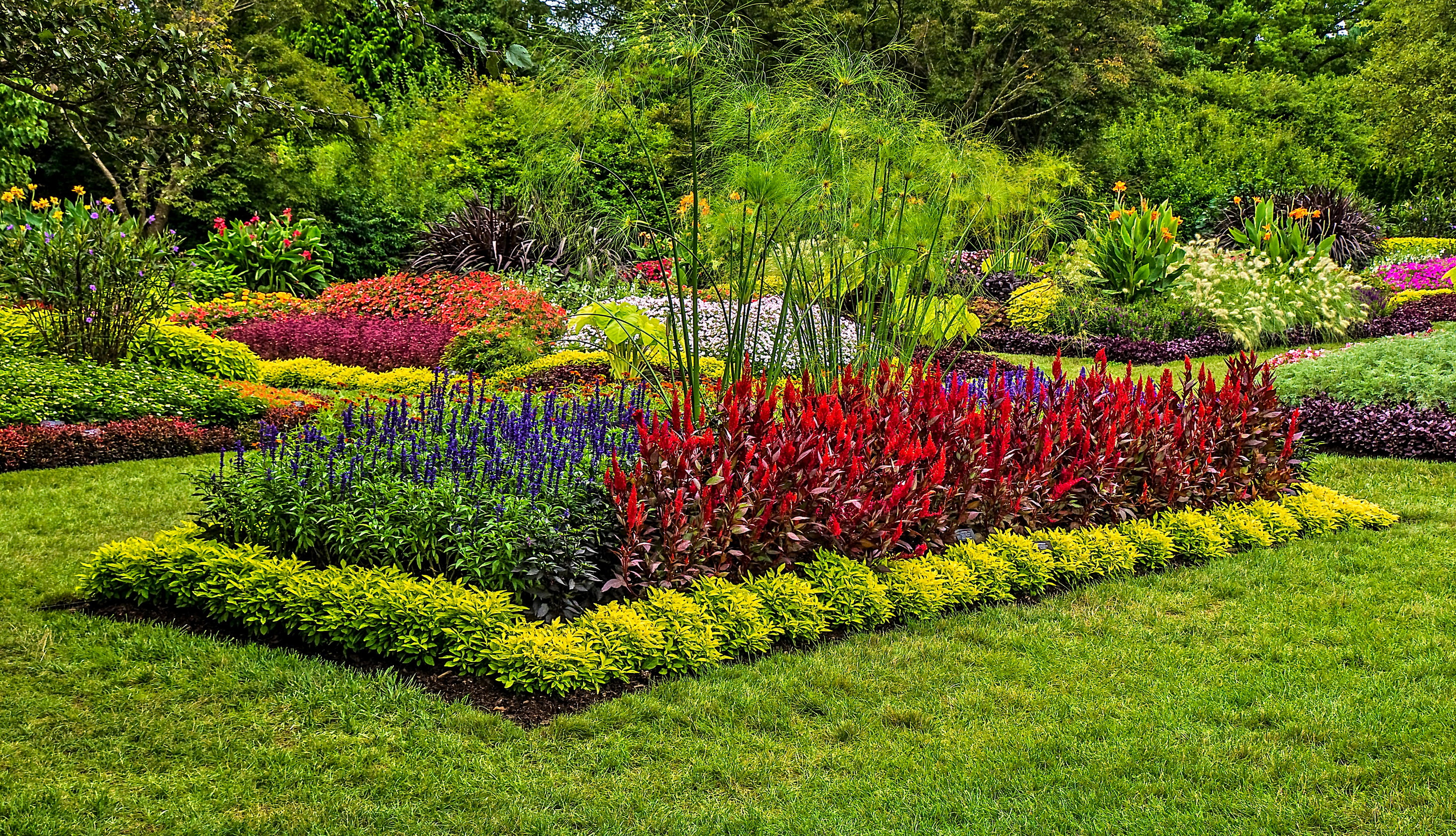 2K, lawn, Park, the bushes, grass, USA, nature, Longwood, Kennett Square, photo, HD Wallpaper