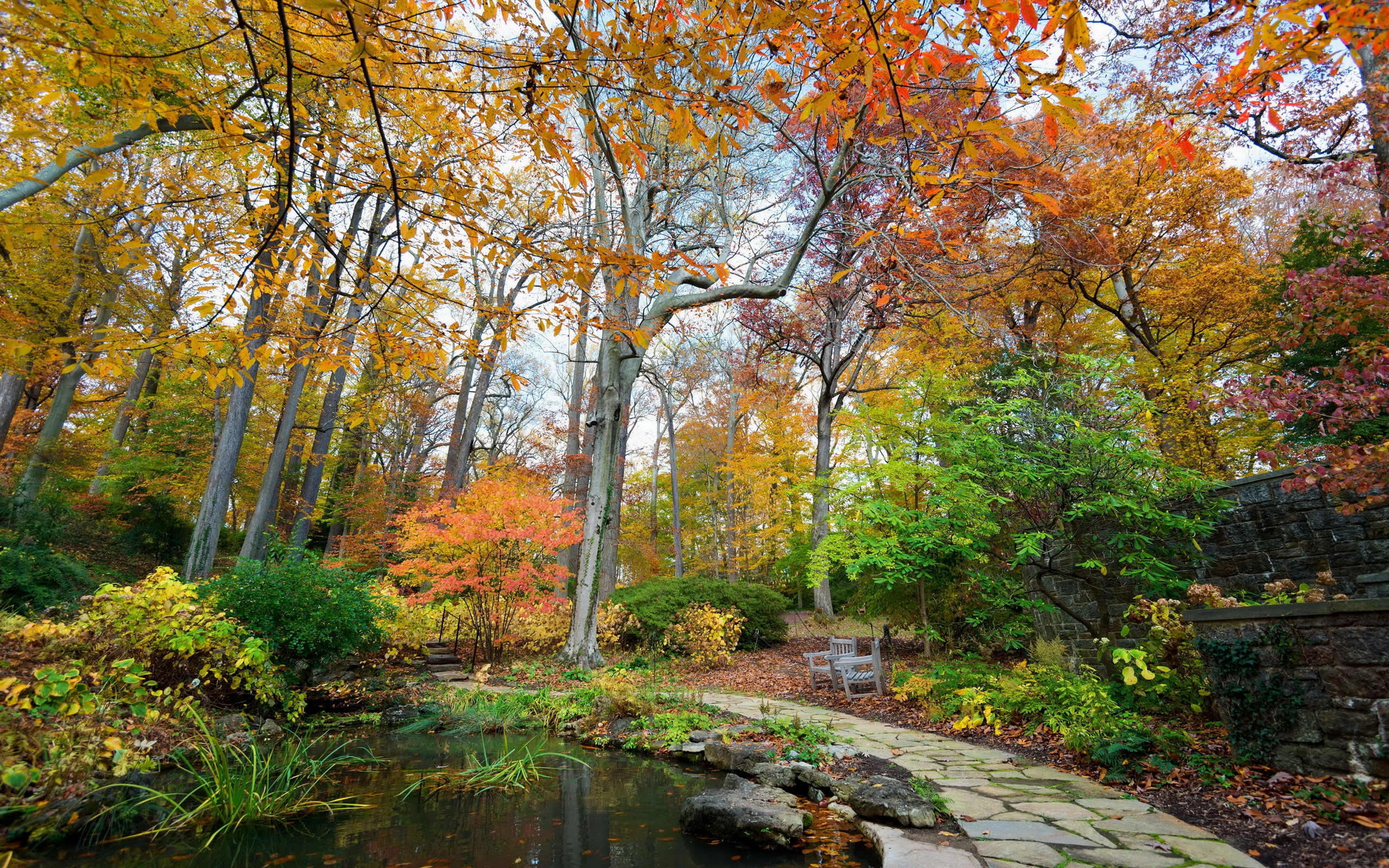 parks, 2K, trees, pond, longwood, square, kennett, usa, autumn, nature, seasons, HD Wallpaper