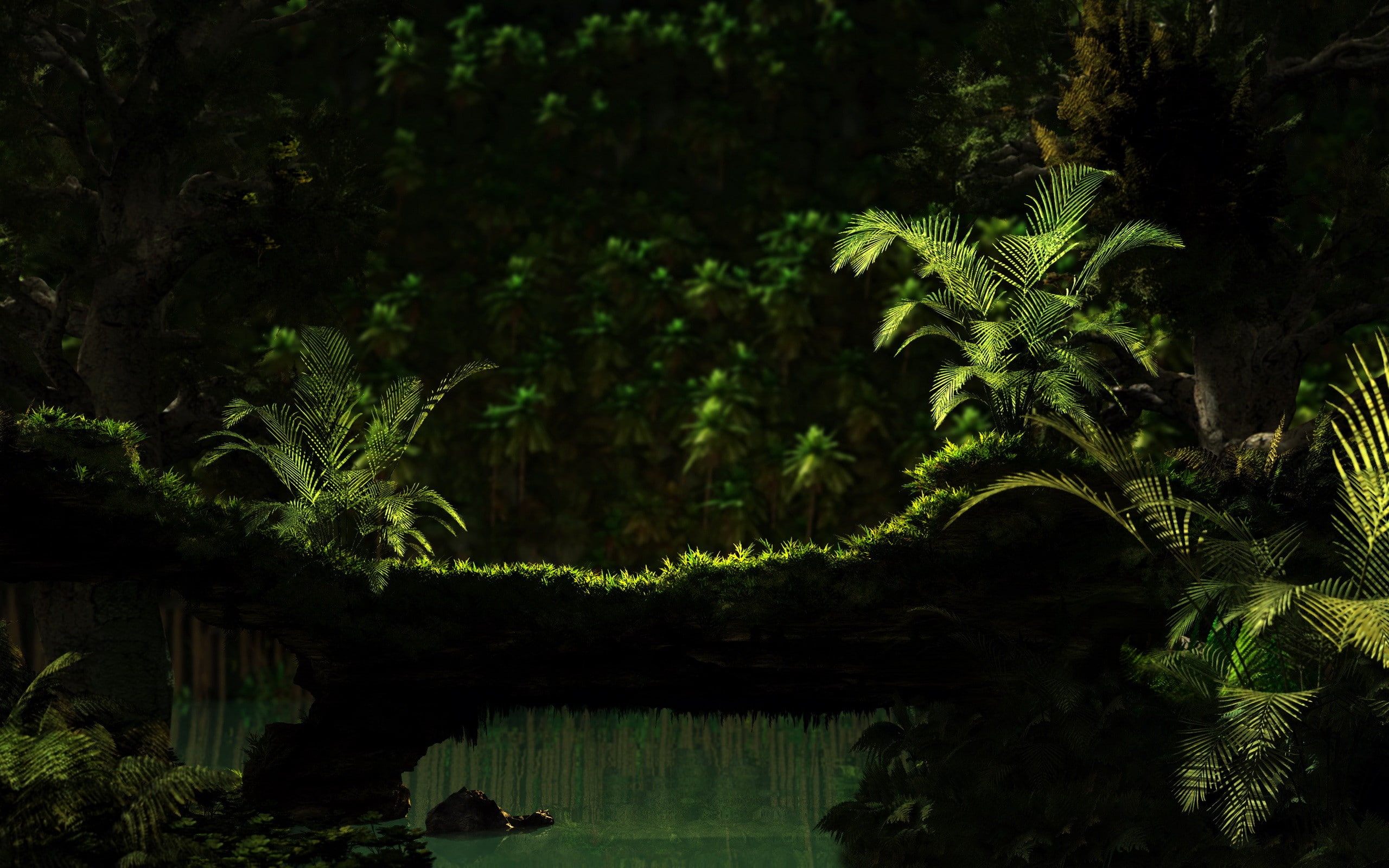sunlight, growth, plant, beauty in nature, garden, ferns, palm tree, fern, formal garden, plant part, no people, tropical climate, water, tree, green color, HD Wallpaper