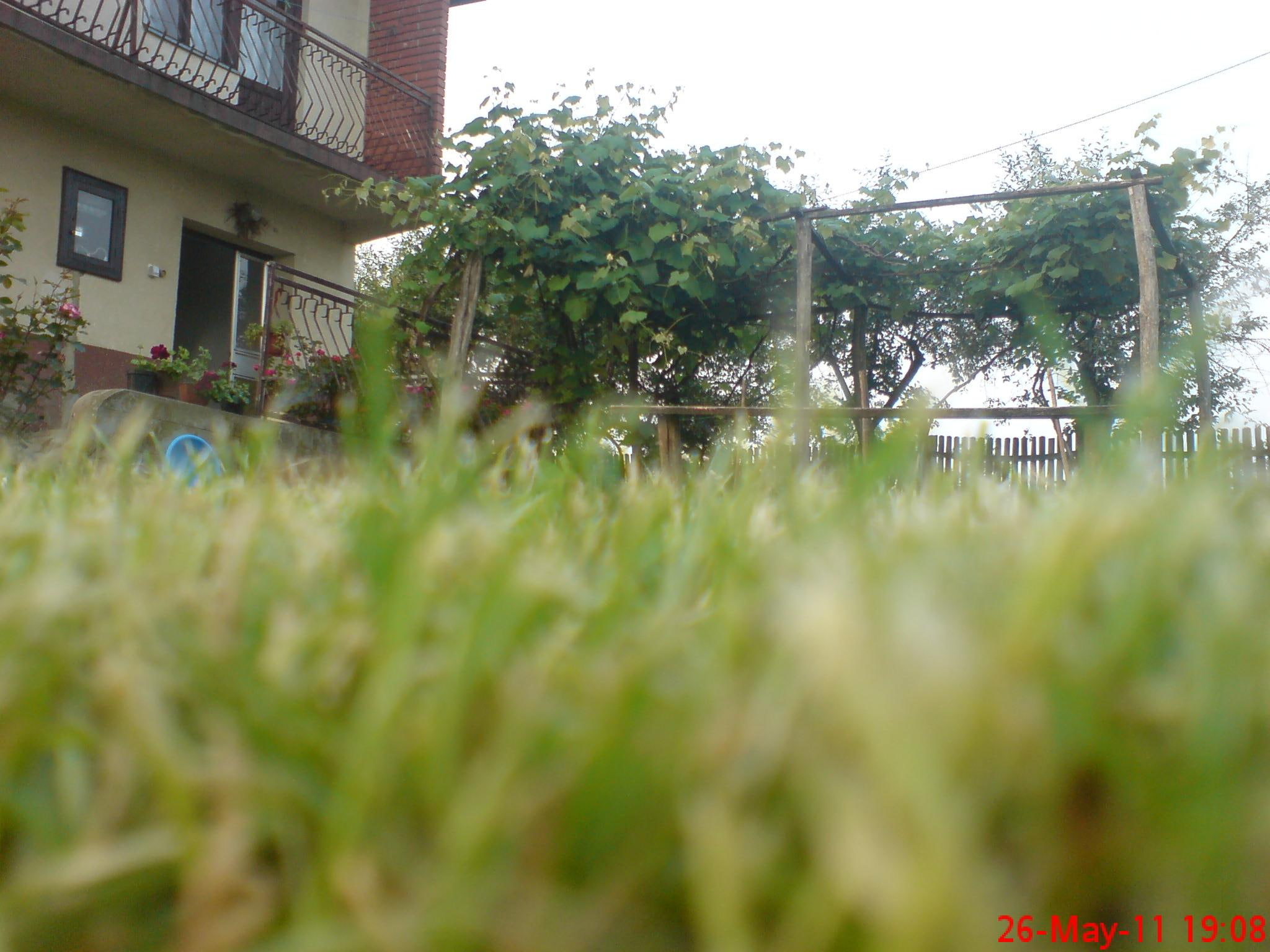 hmm, grass, very nice, 1080P, nature, nice, 3d and abstract, HD Wallpaper