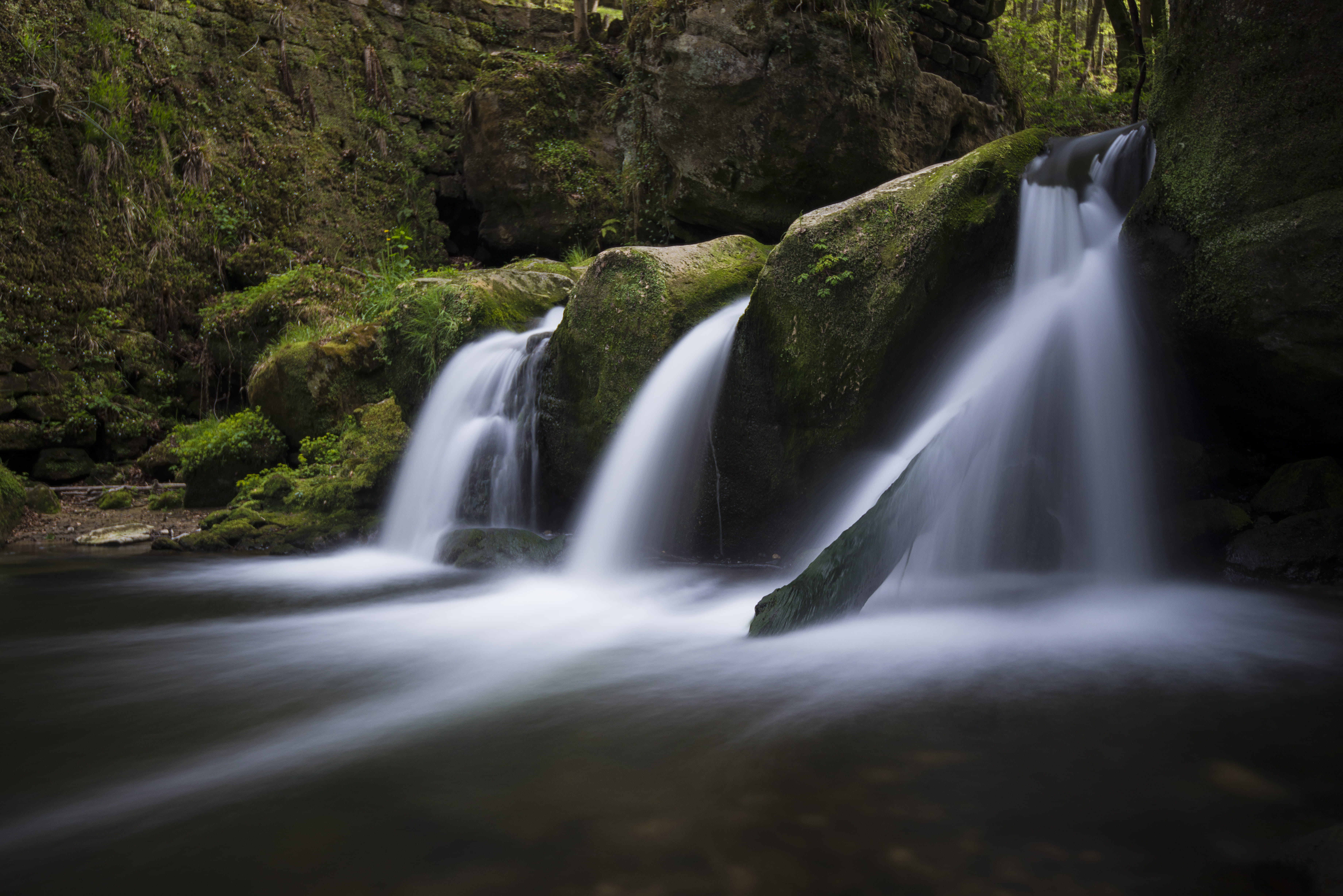 falling water, no people, waterfall, green Color, non-urban scene, tree, closeup, plant, blurred motion, motion, environment, forest, water, long Exposure, HD Wallpaper
