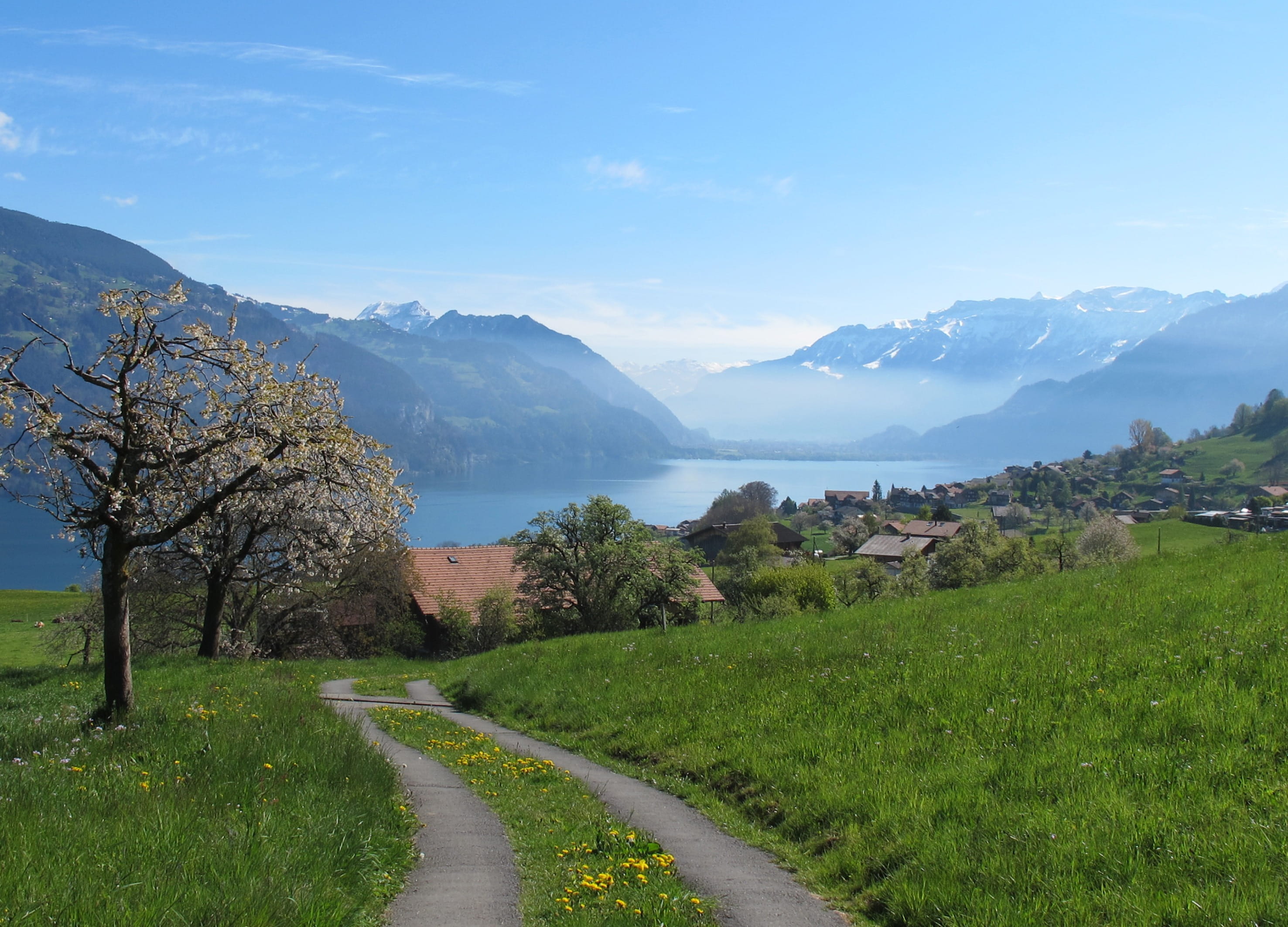 blue sky, lake, grass, mountain, growth, 2K, plant, no people, day, the way forward, environment, outdoors, view, blue, spring, river, rural scene, water, HD Wallpaper