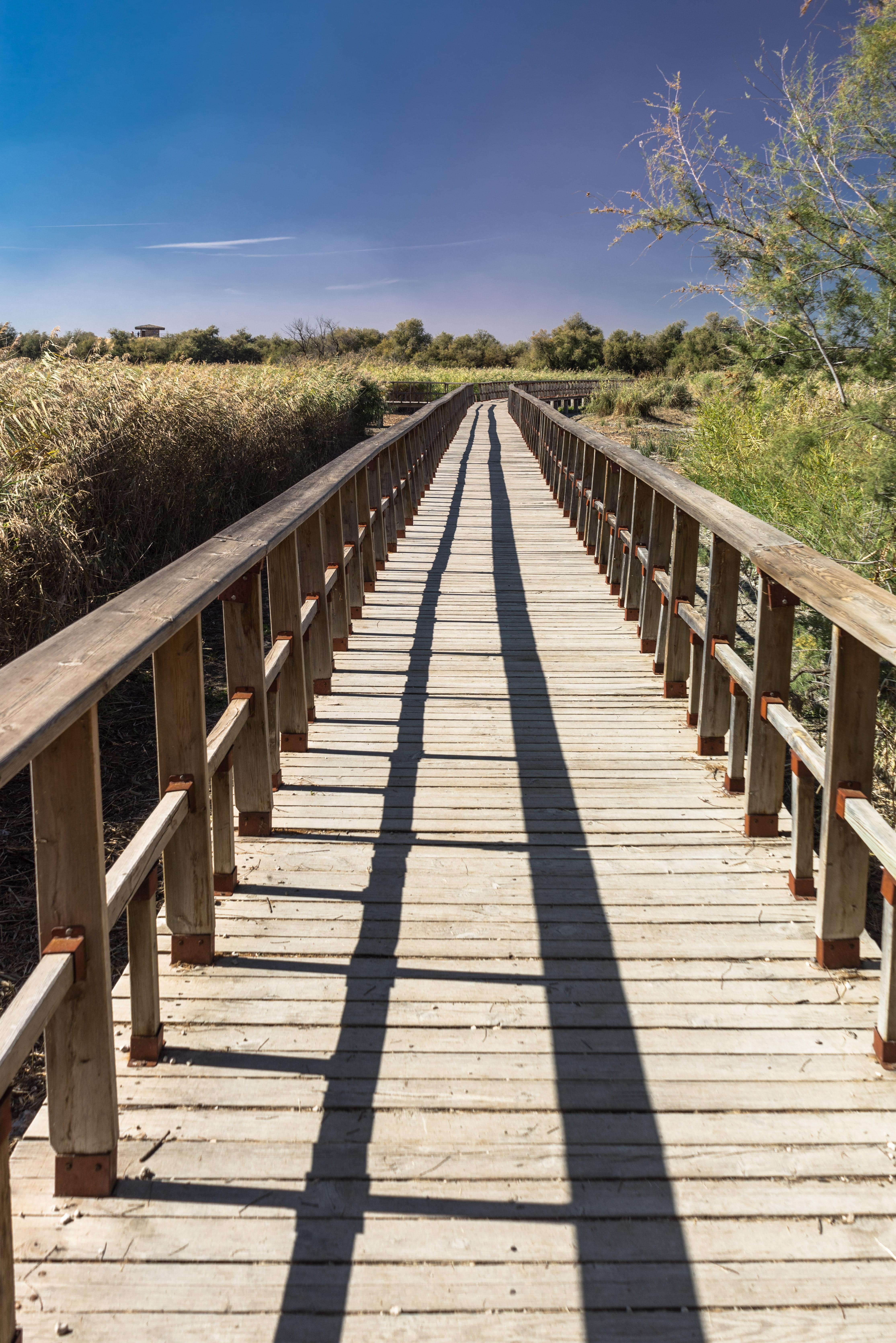 railing, follow, gateway, no people, footbridge, rural, plants, leafed, direction, historical, landscape, outdoors, daytime, path, tree, plant, sky, blue, Phone HD Wallpaper