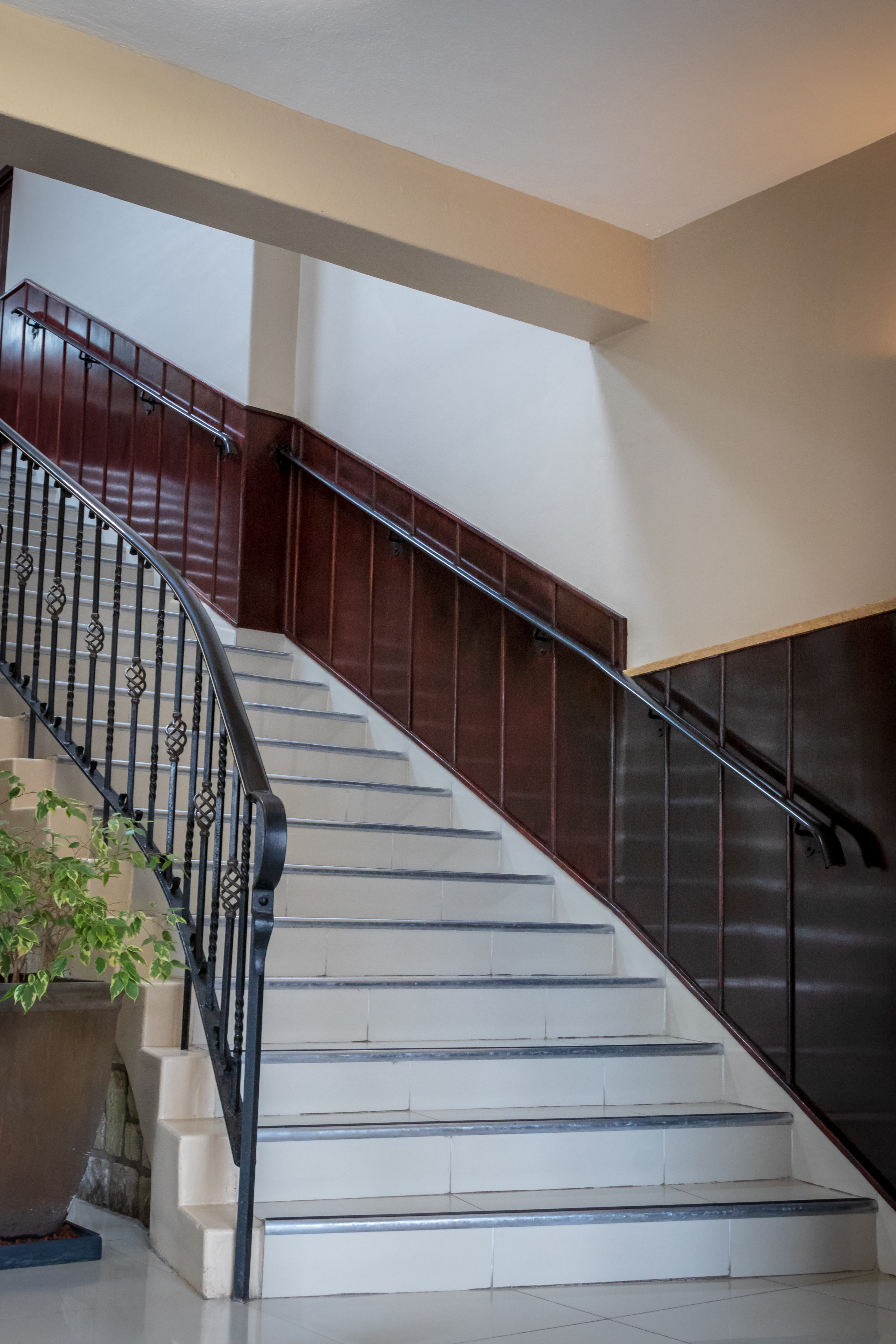 wood, moving up, steps and staircases, tree, indoors, high angle view, railing, building, empty, day, direction, no people, modern, architecture, plant, Phone HD Wallpaper