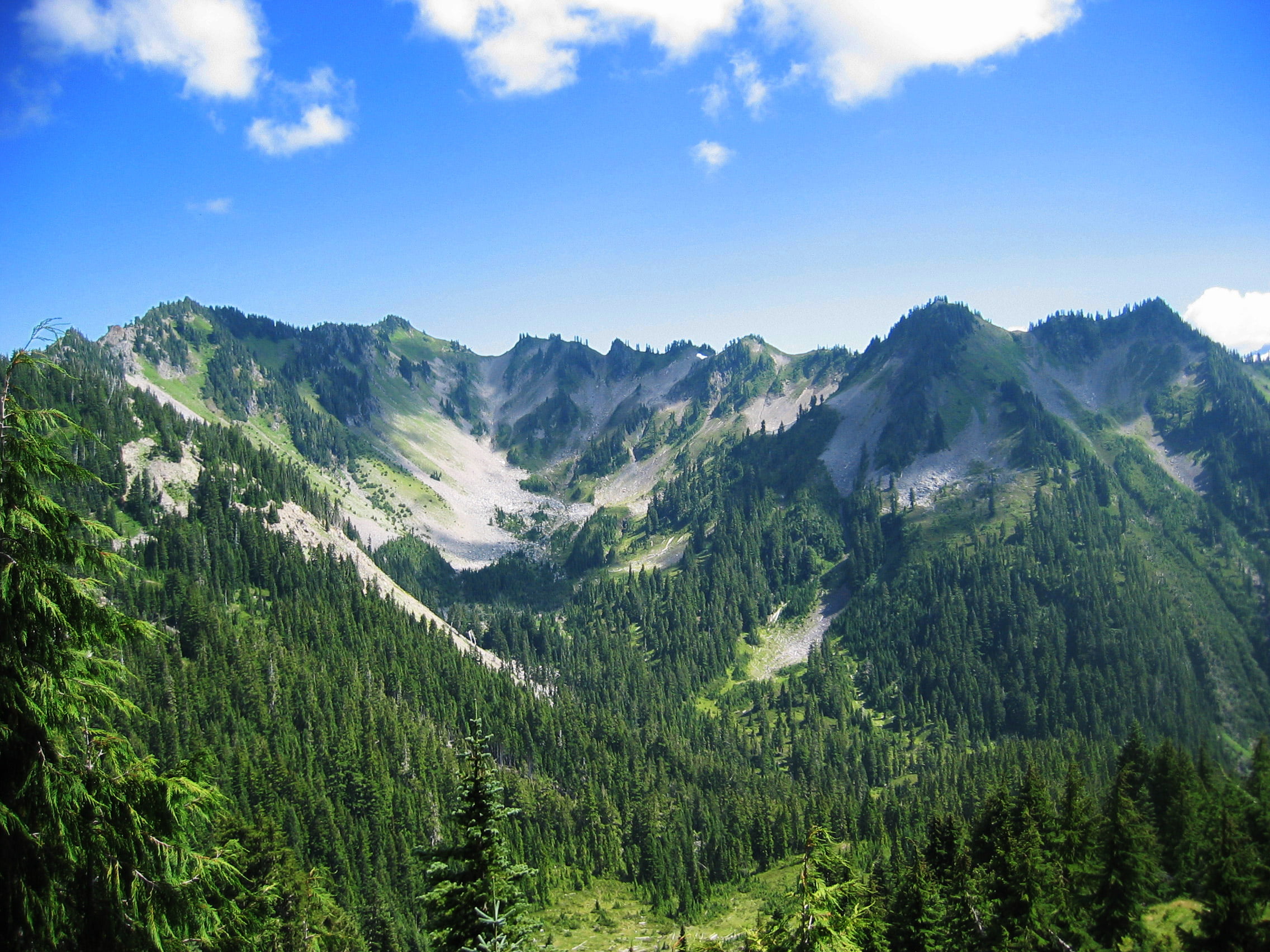 tree, landscape, summer, Park  Washington, photo, outdoors, sky, nature, scenics, national, trees, green Color, park, daytime, olympic, Olympic National Park, HD Wallpaper