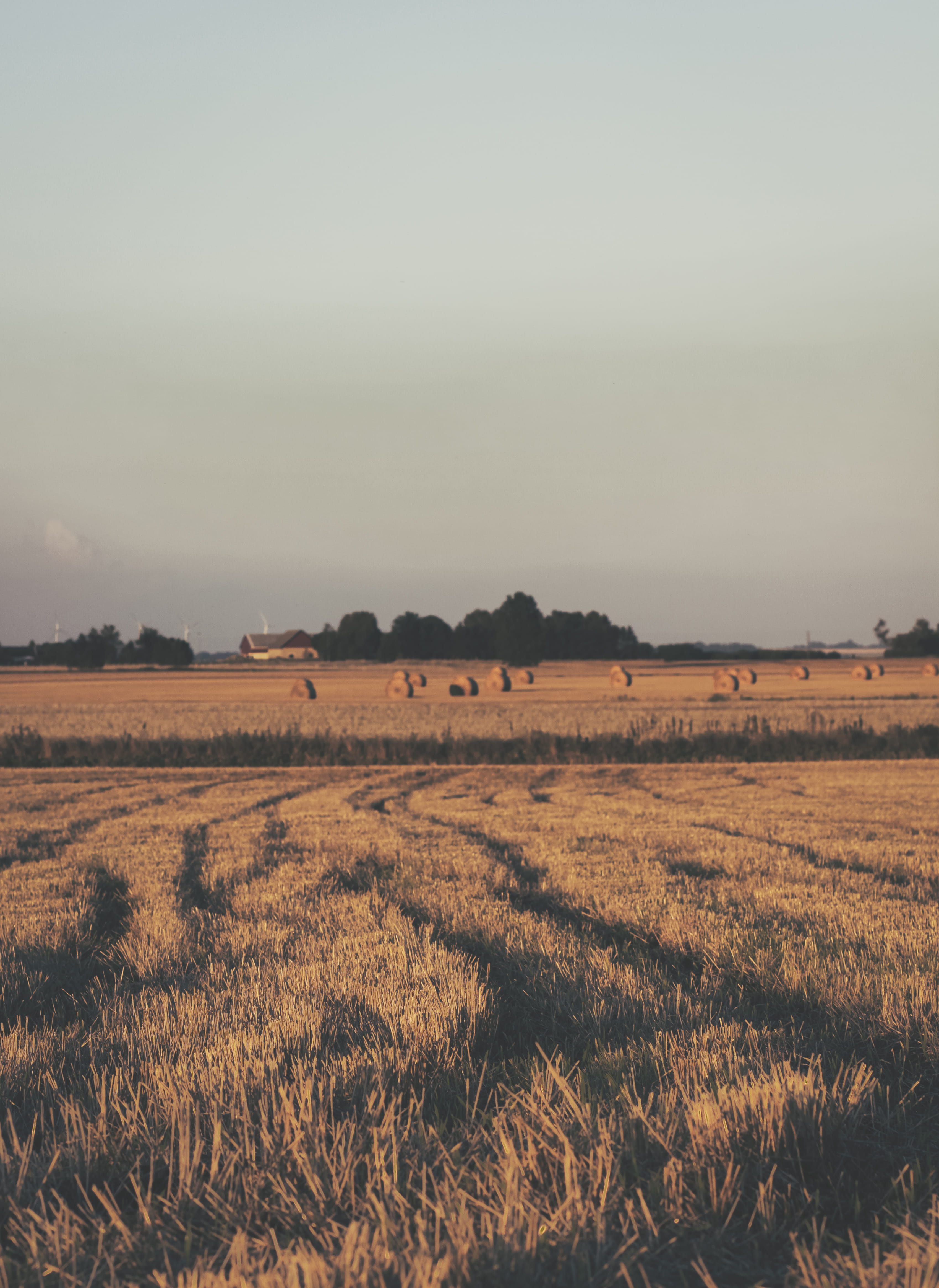 light, vegetation, countryside, cloudy, sweden, sky, daytime, scenics - nature, brown, landscape, rural scene, growth, land, grass, harvest, outdoors, idyllic, Phone HD Wallpaper