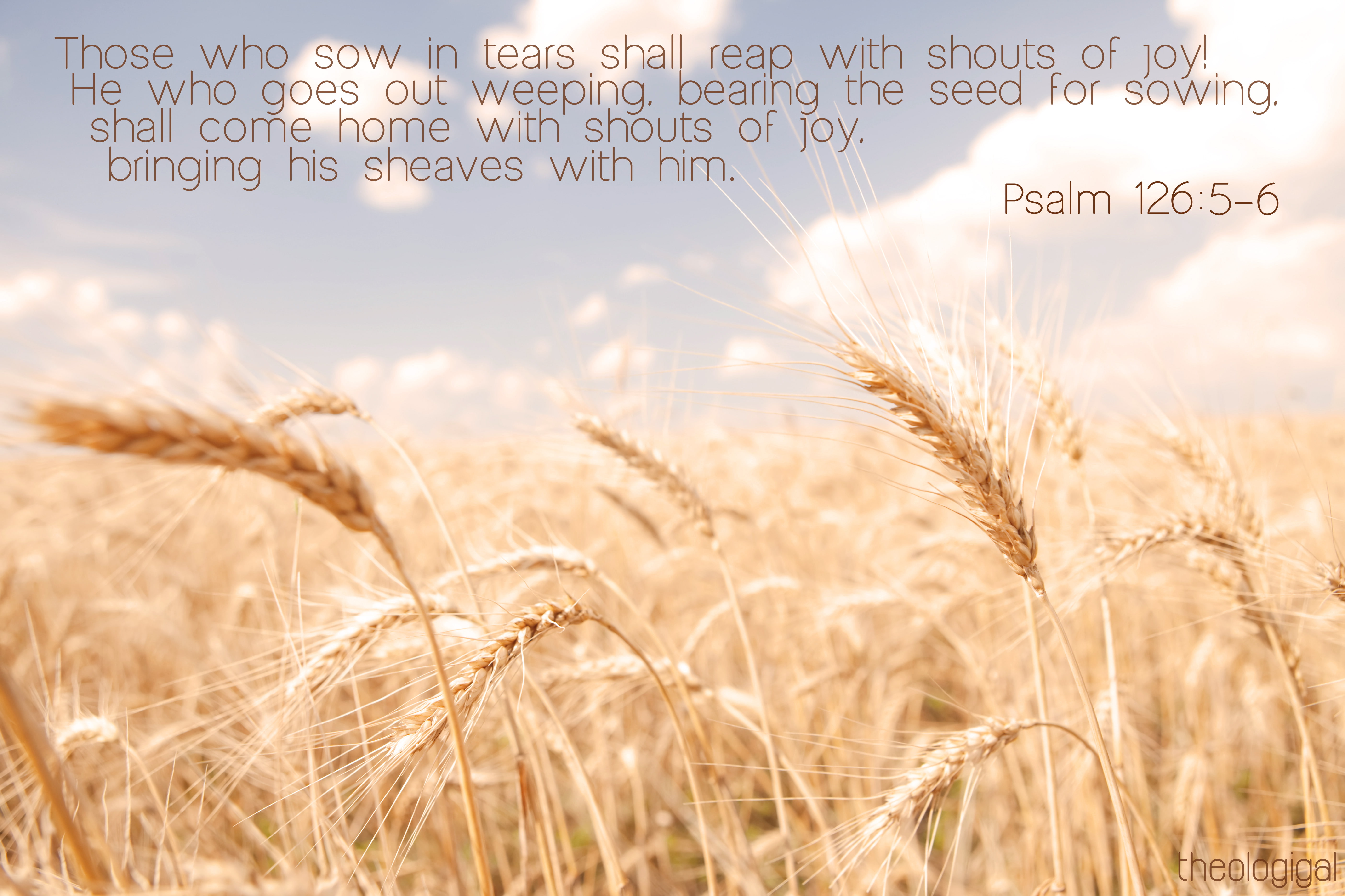 fa, verses, bible, text, quote, religion, poster, 5K, HD Wallpaper
