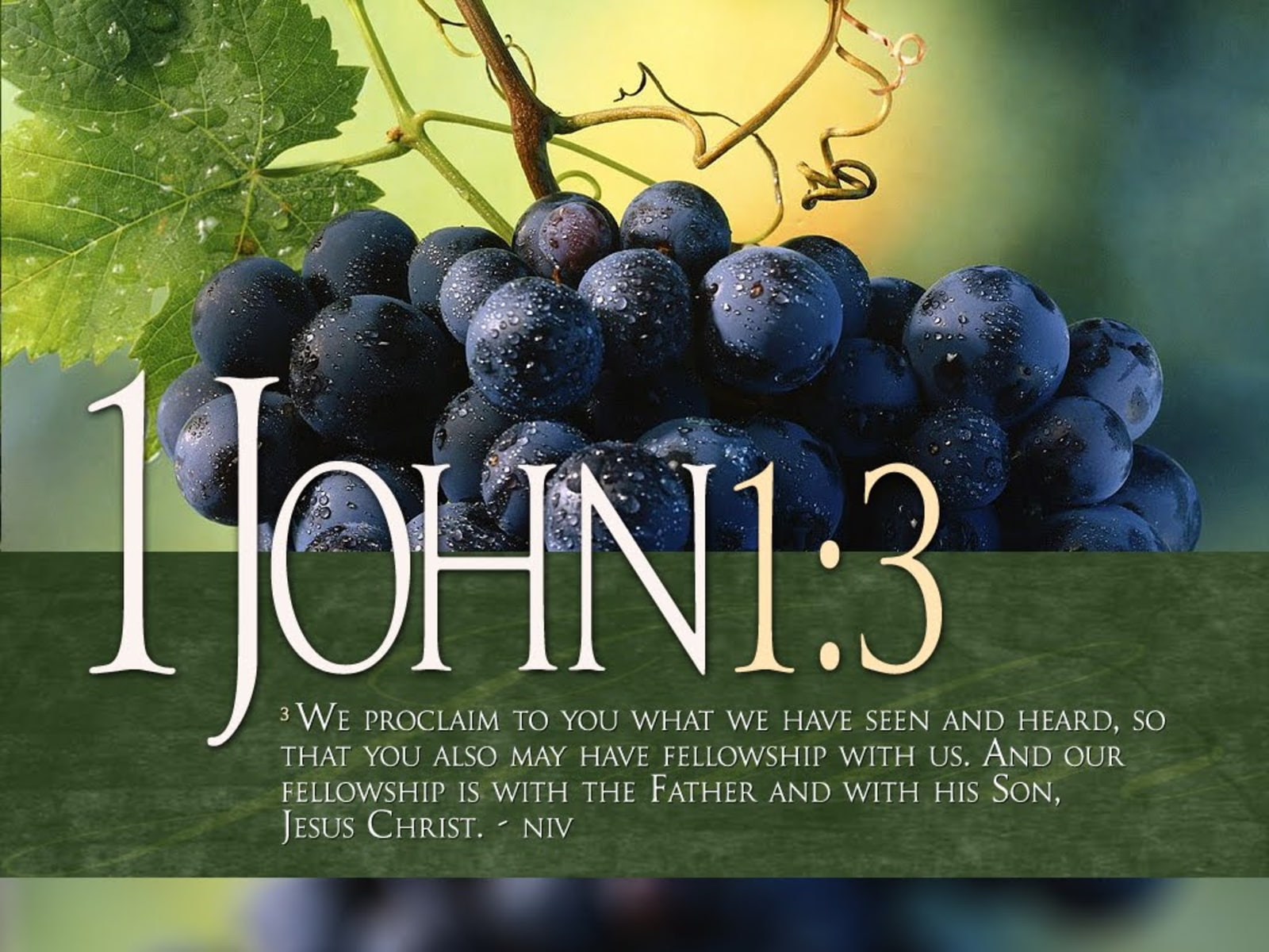 food, day, text, 720P, quote, still life, poster, ripe, no people, freshness, religion, grape, wellbeing, sign, outdoors, food and drink, close-up, communication, HD Wallpaper