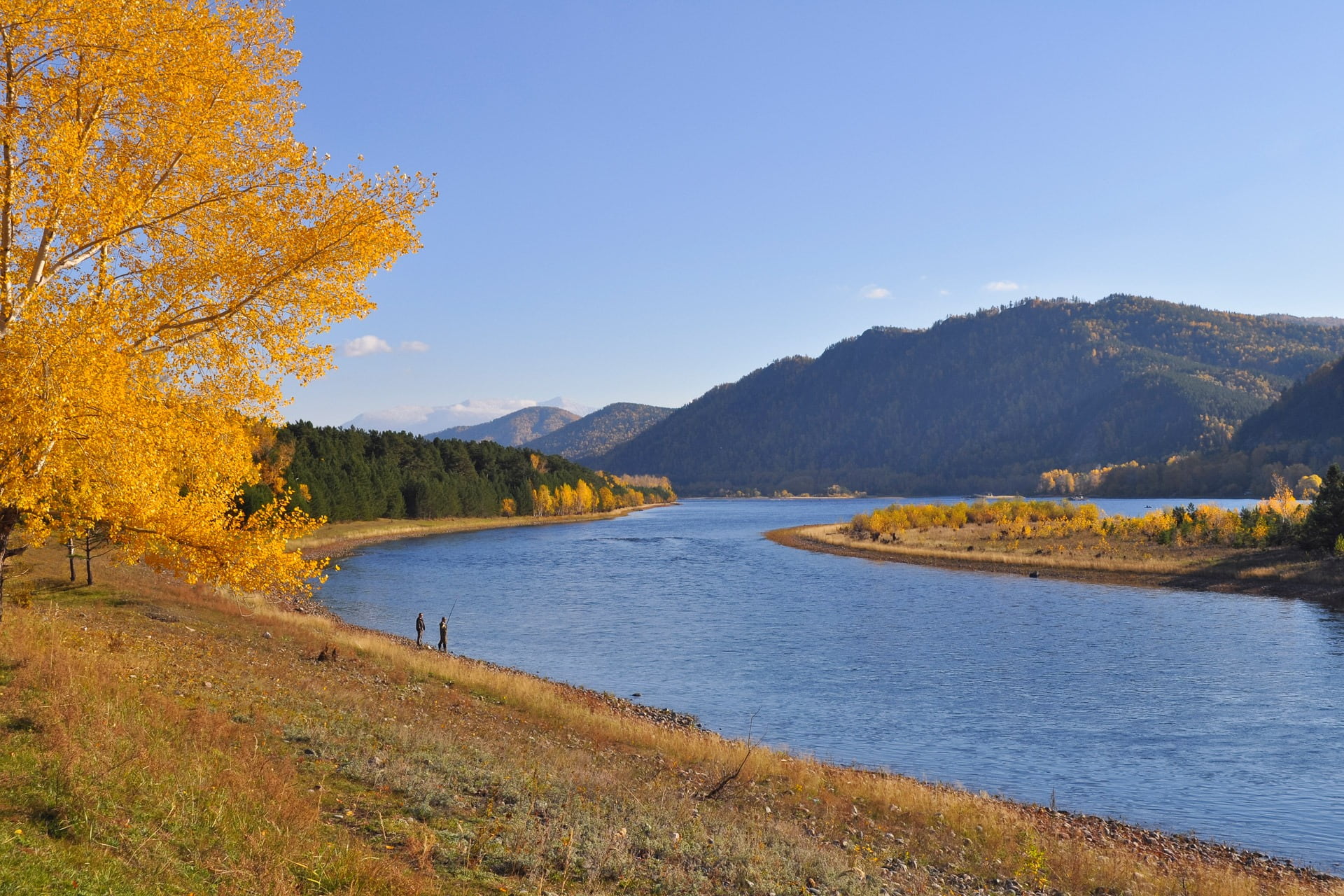 landscape, change, non-urban scene, sky, land, day, nature, river, recreation, forest, fishermen, coniferous tree, men, gold, fall, 1080P, mountain, plant, HD Wallpaper