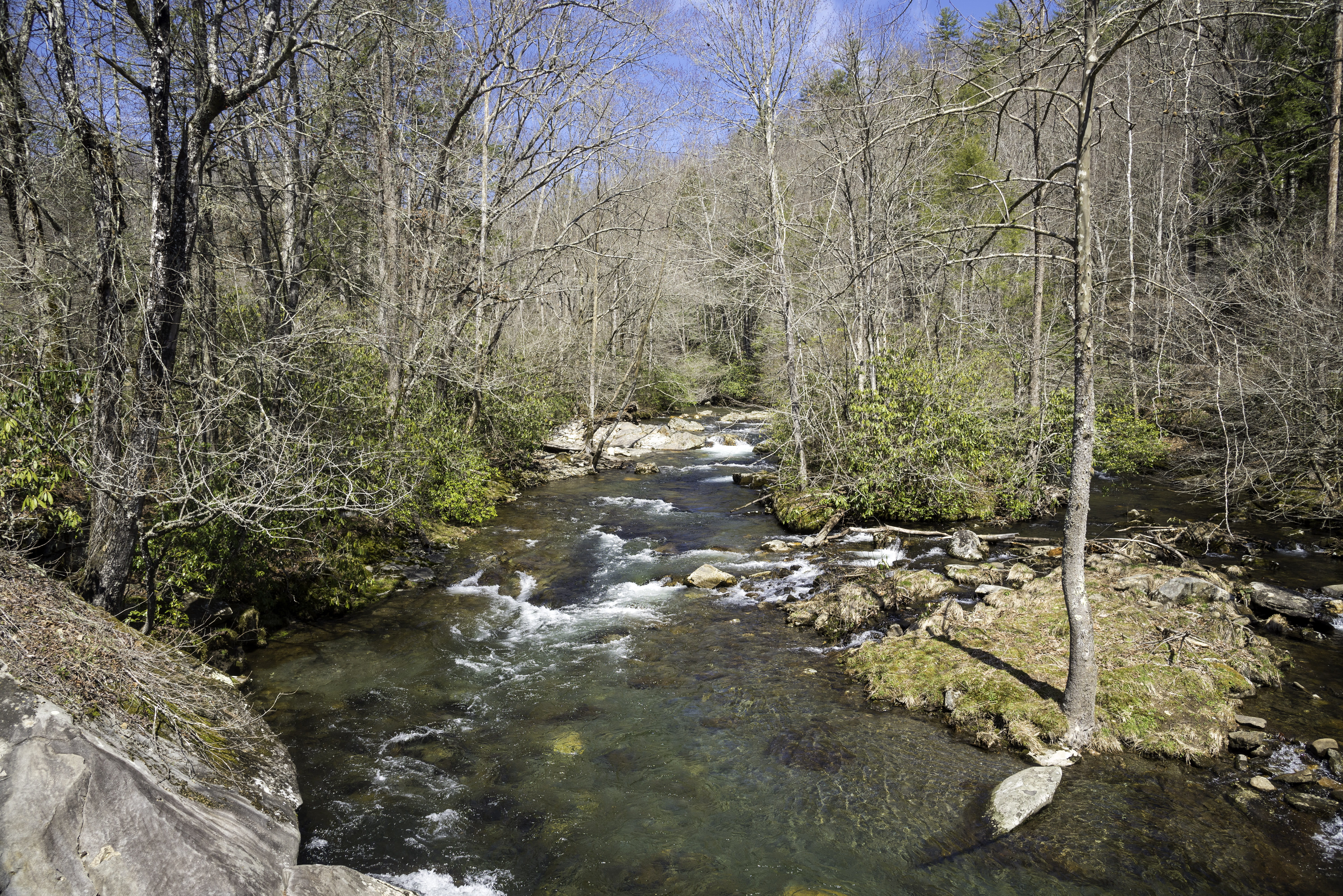 land, rock, landscape, Great Smoky Mountains National Park, smoky, plant, carolina, non-urban scene, outdoors, Scenic, woodland, day, public domain, scenics - nature, HD Wallpaper
