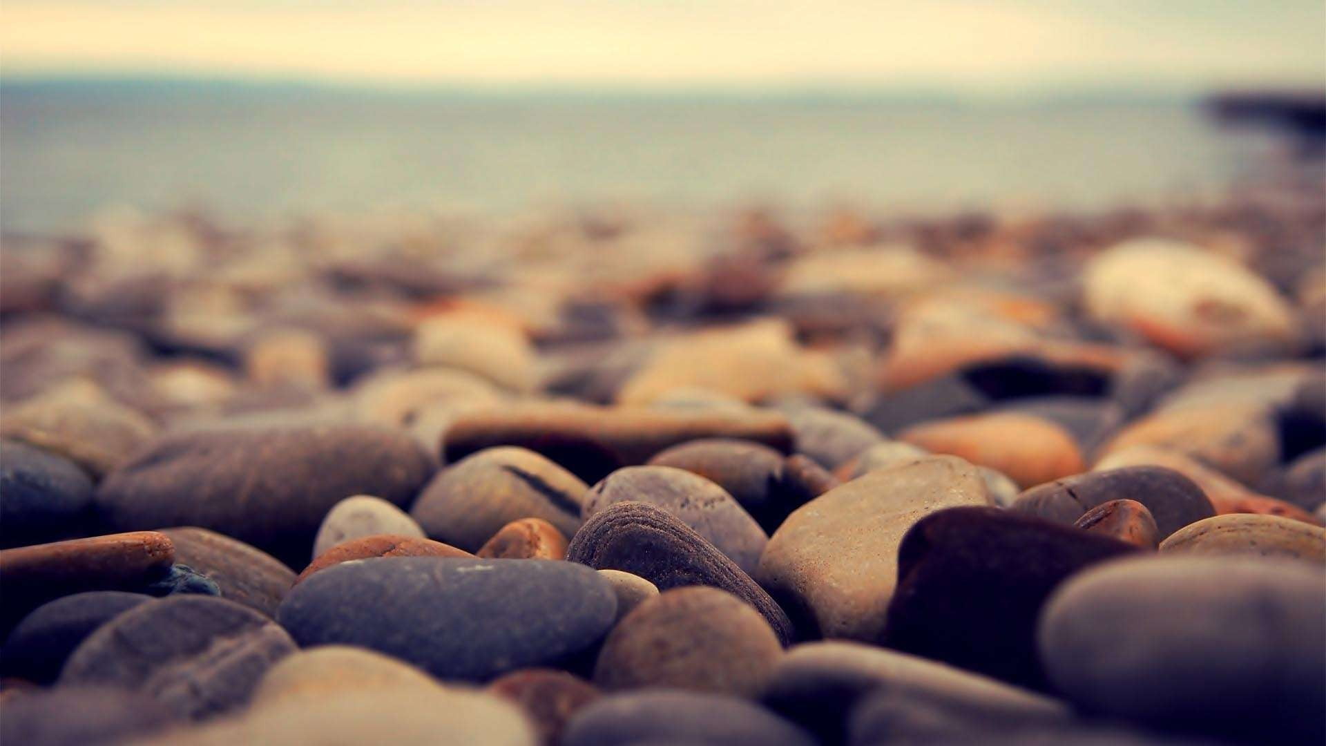 food and drink, outdoors, no people, large group of objects, brown, focus on foreground, beach, water, pebble, abundance, lot, land, gray, food, freshness, HD Wallpaper