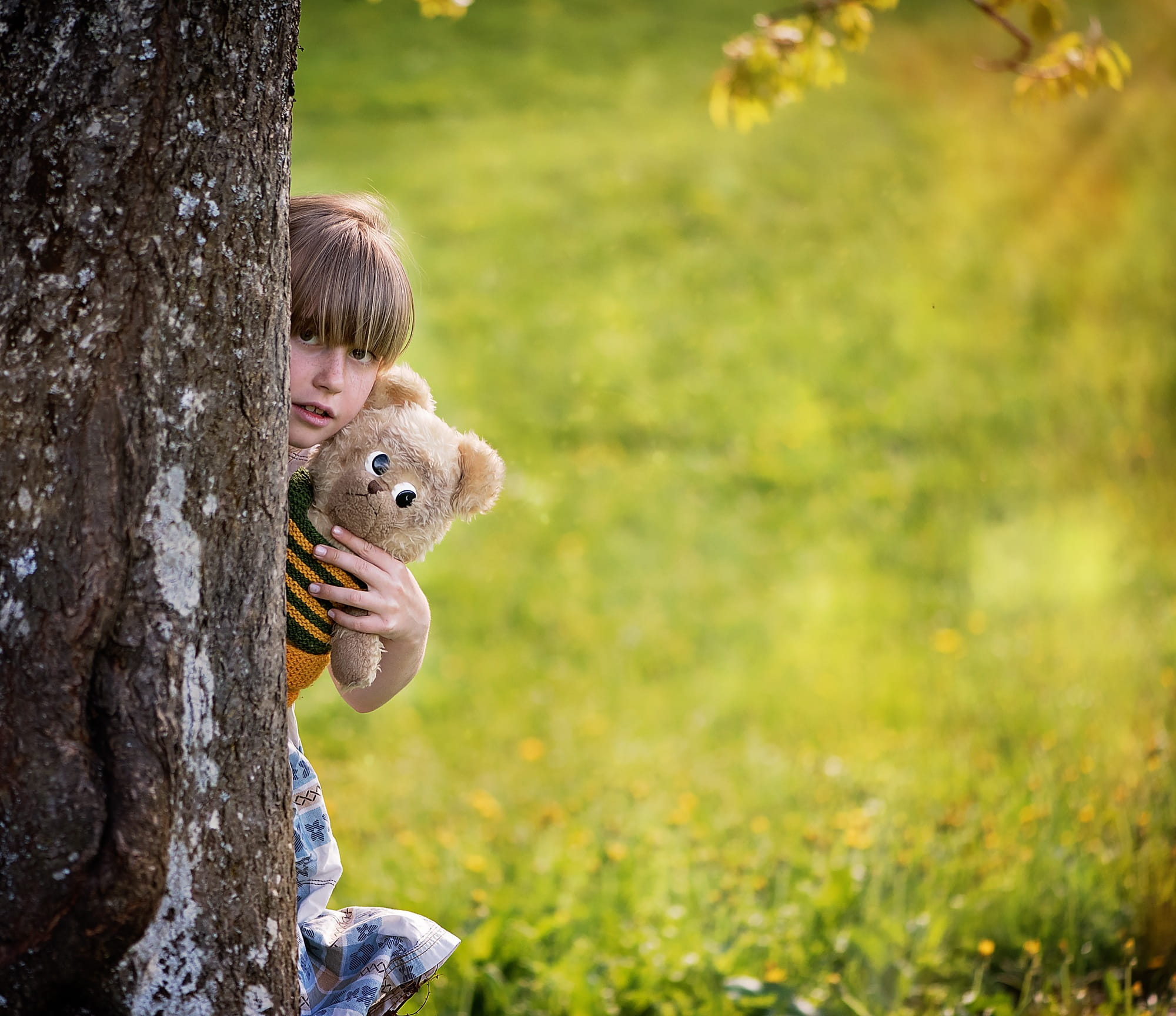 playful, out, 1080P, mammal, girl, tree, trunk, cute, animal, brown, animal wildlife, portrait, day, teddy Bear, childhood, holding, males, field, forest, HD Wallpaper