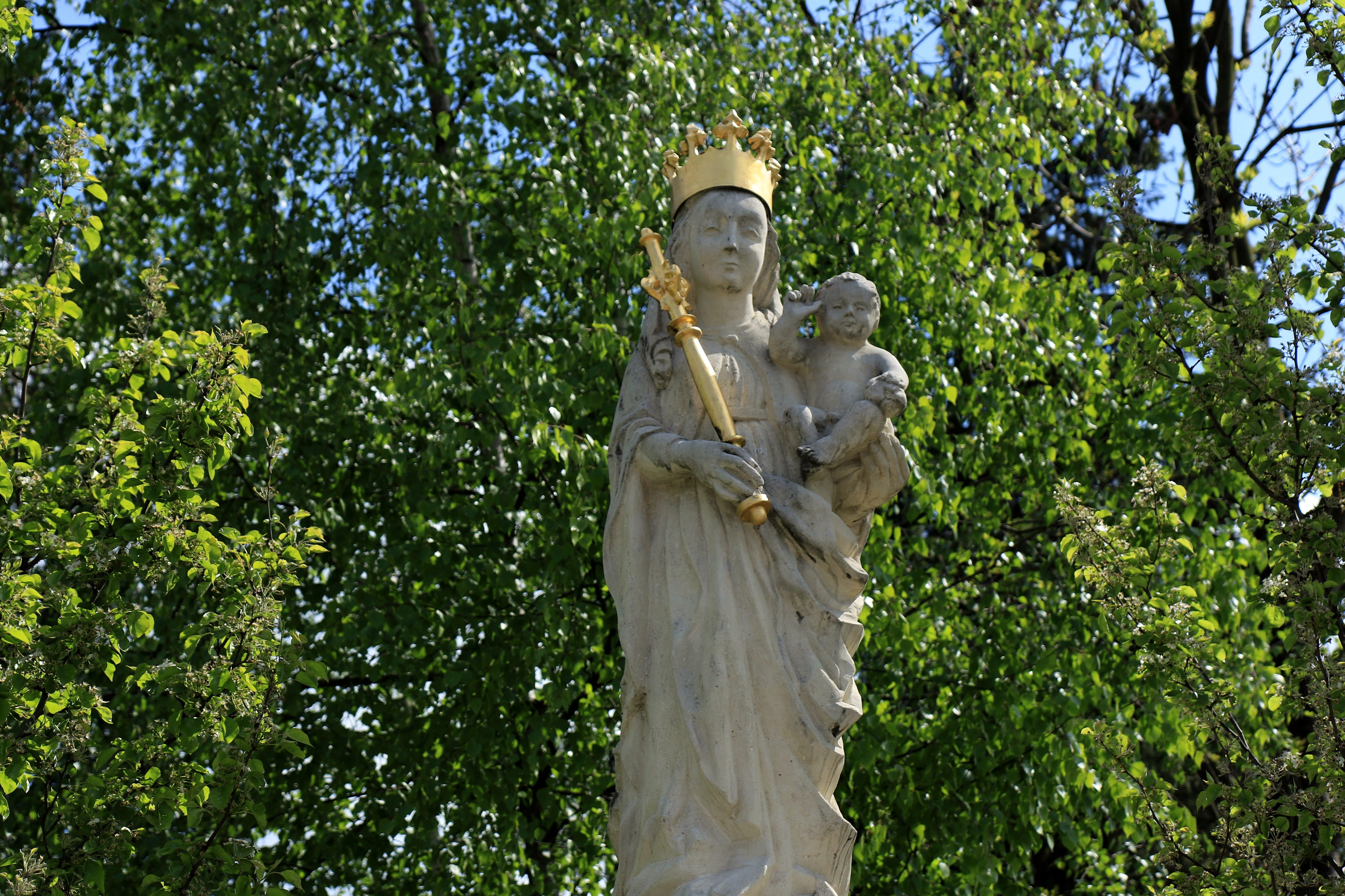 faith, Madonna, outdoors, park, animal themes, human representation, religion, nature, 5K, one animal, the art of, craft, mary, art and craft, day, plant, HD Wallpaper