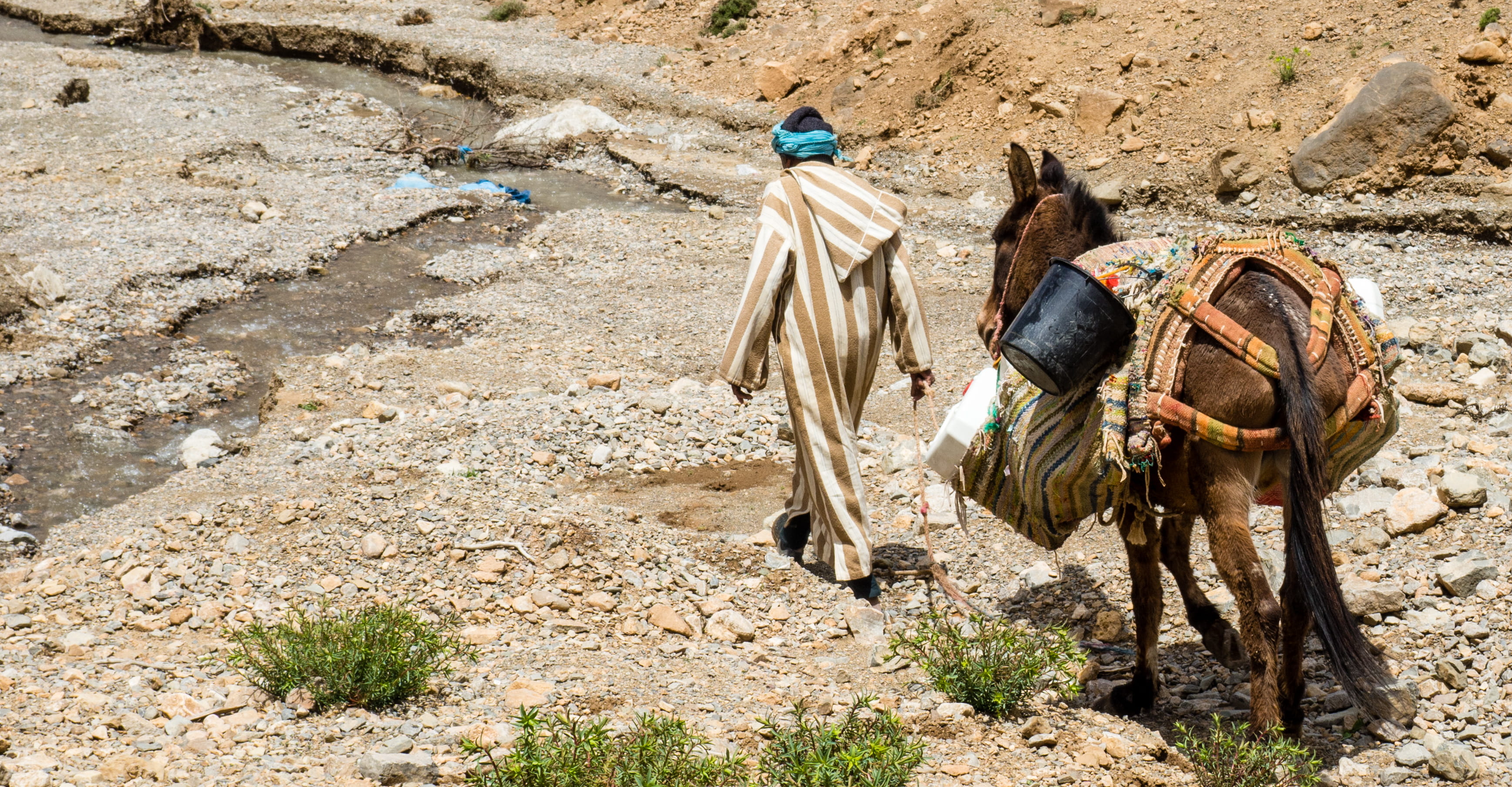 arid climate, man, one animal, working animal, domestic animals, road, outdoors, day, domestic, mountain, climate, gravel, atlas mountain, saddle, land, HD Wallpaper