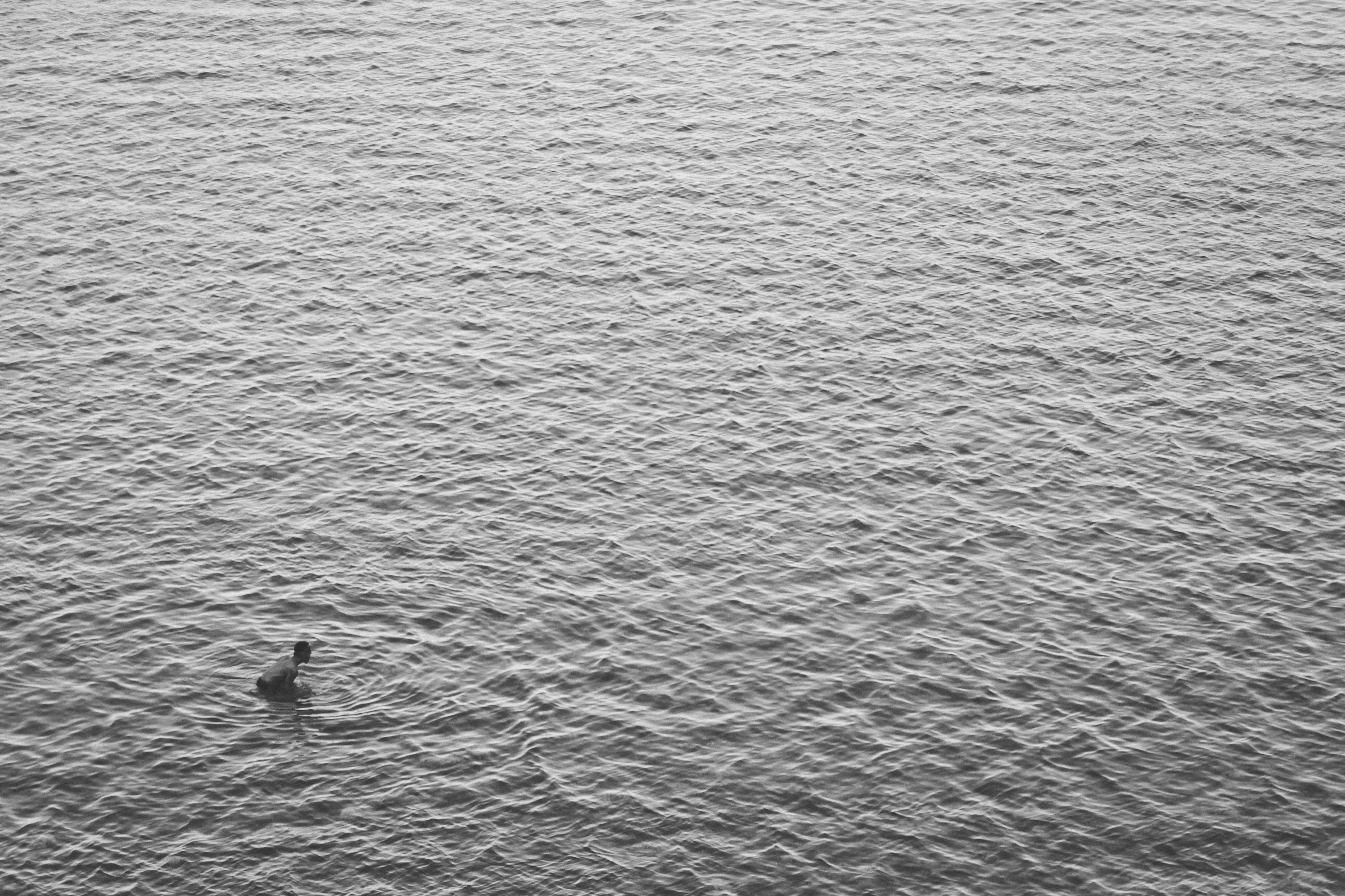 marine, water, nature, full frame, pattern, body of water, ripple, photography, waterfront, animal themes, wall - Building Feature, 4K, person, bird, view, HD Wallpaper