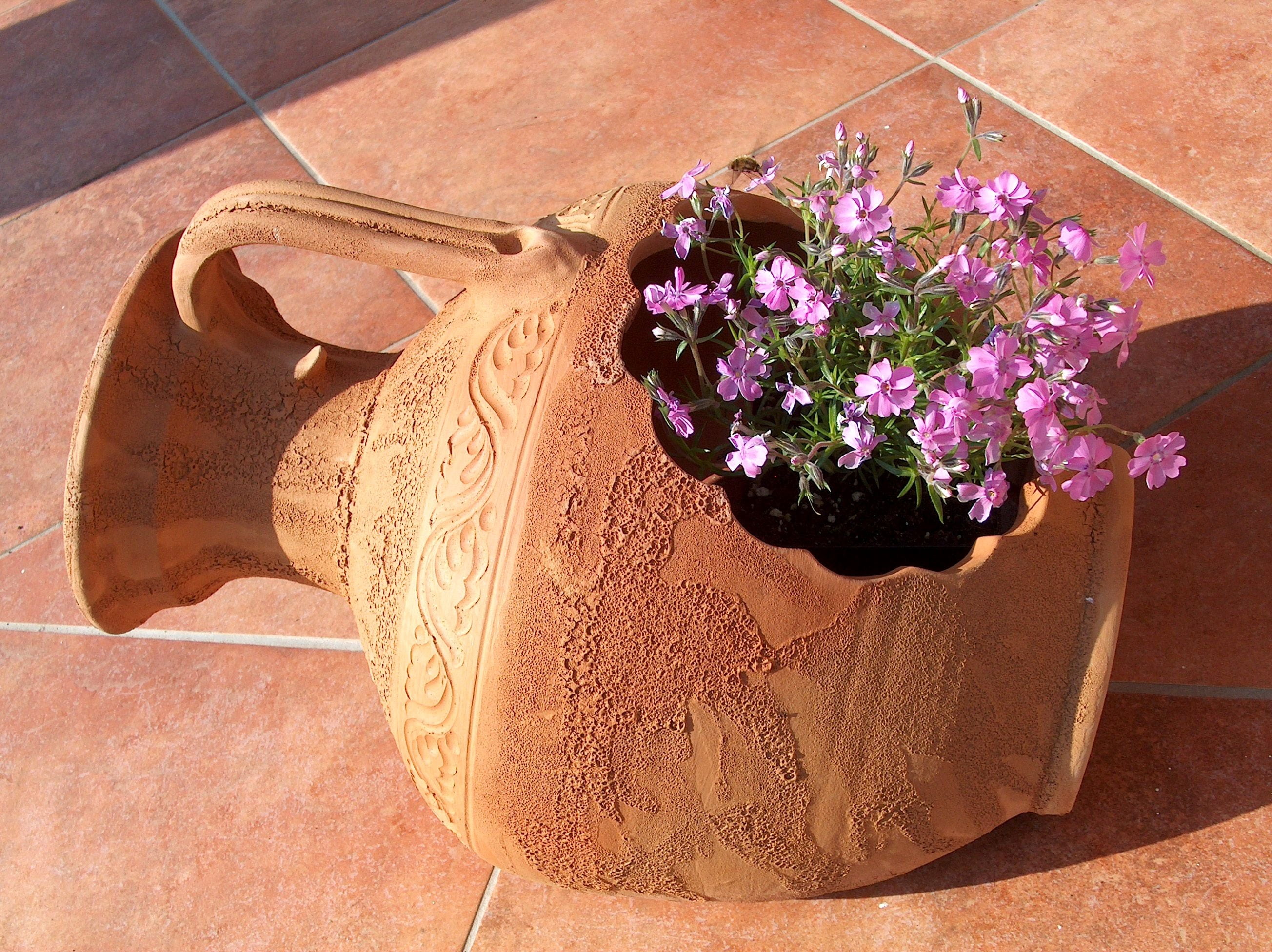 close-up, no people, brown, summer flower, freshness, vulnerability, pink, hot, decoration, flower, flowering plant, table, flower pot, flowers, fragility, HD Wallpaper