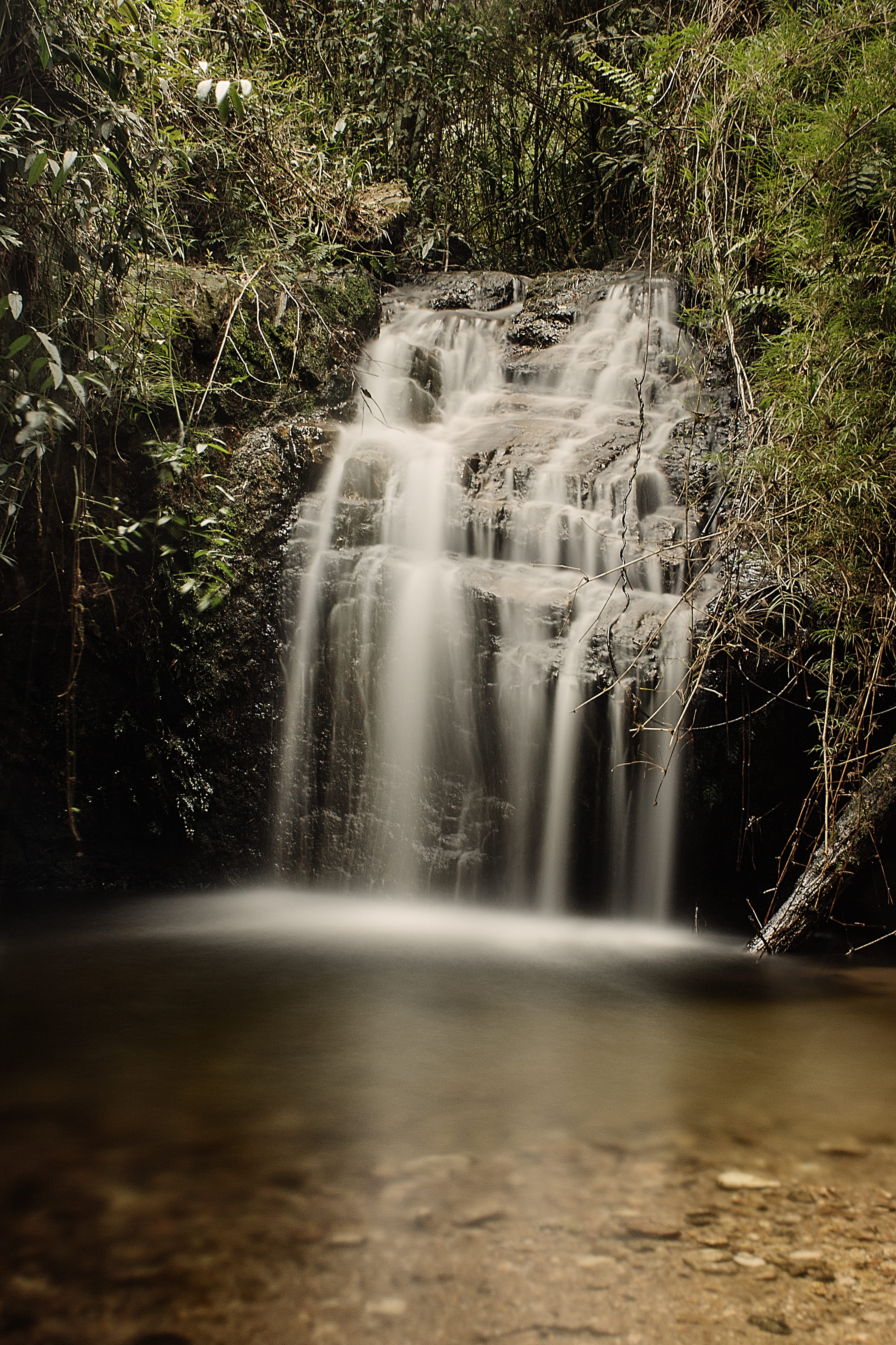 flowing, green, river, tranquility, brazil, 4K, day, beauty in nature, flowing water, plant, brasil, waterfall, plants, waterfront, motion, long exposure, Phone HD Wallpaper