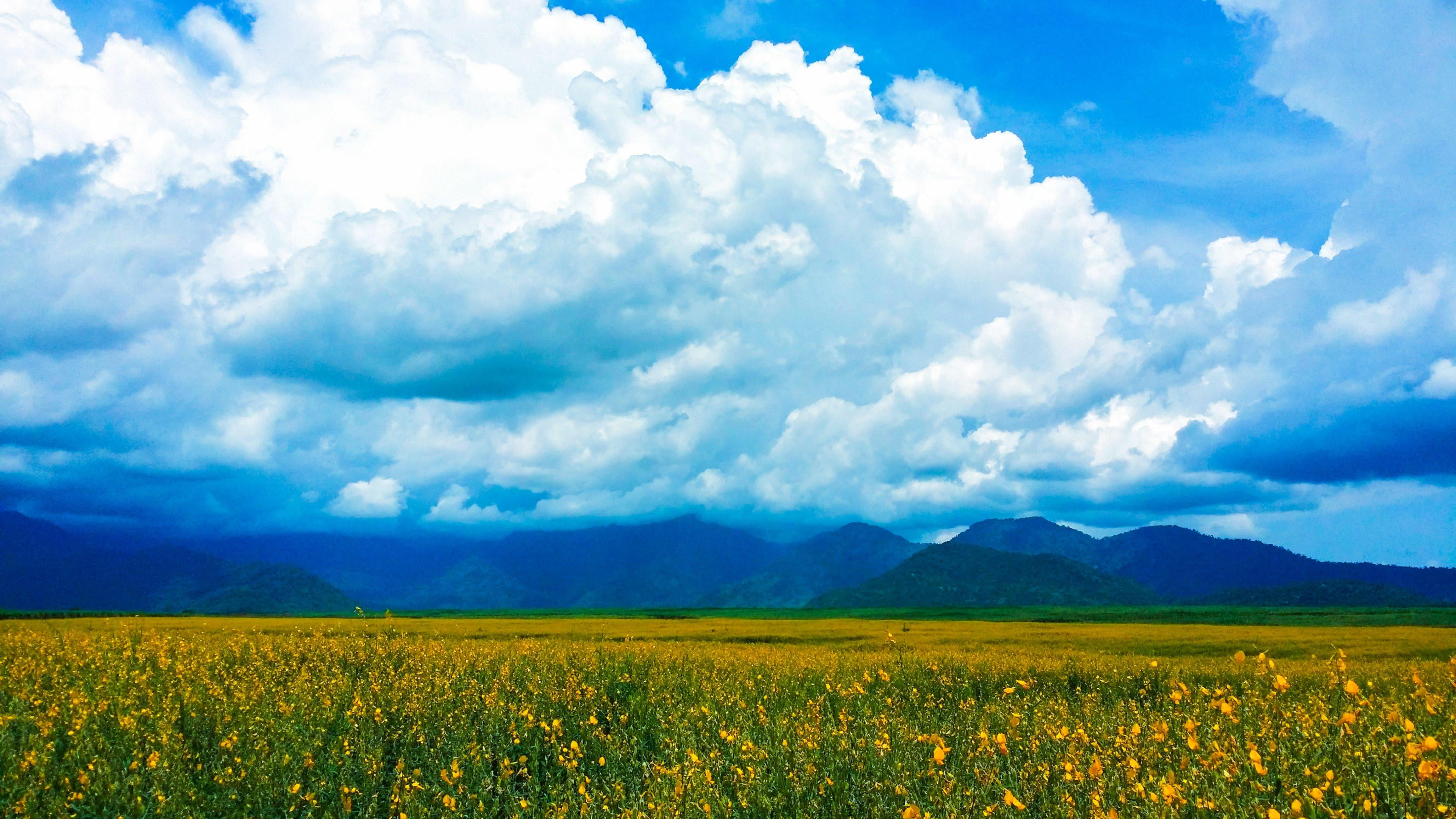 environment, flower, daytime, tranquil scene, mountain, cloud - sky, nature, grassland, beauty in nature, asia, kampong speu, springtime, field, cumulus, HD Wallpaper