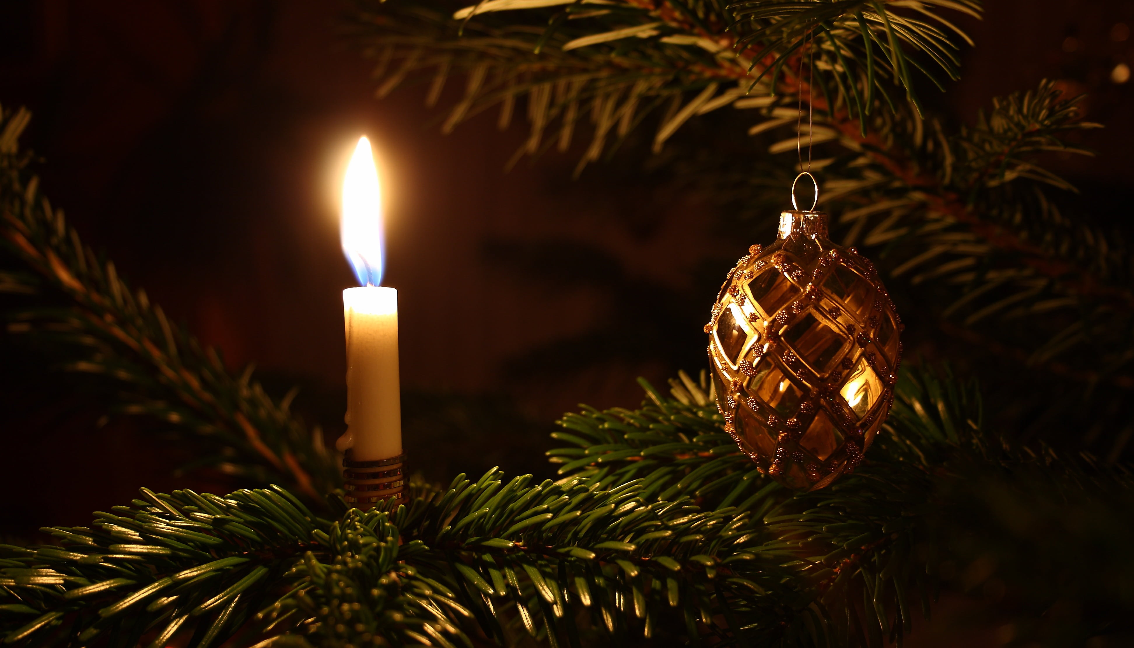 event, decoration, burning, 4K, christmas lights, fir, beside, close-up, christmas ornament, christmas tree, ornament, celebration, no people, christmas, HD Wallpaper