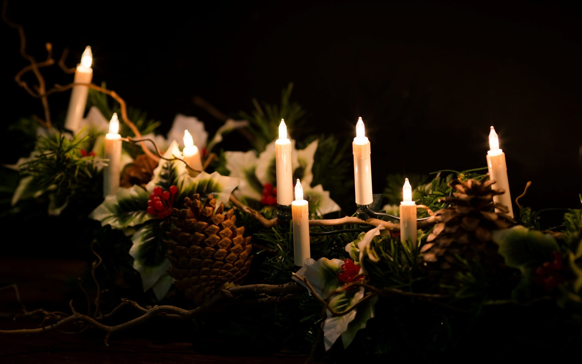 flame, flowering plant, lights, Christmas, indoors, religion, bumps, widescreen, nature, glowing, celebration, black background, close-up, holiday, HD Wallpaper