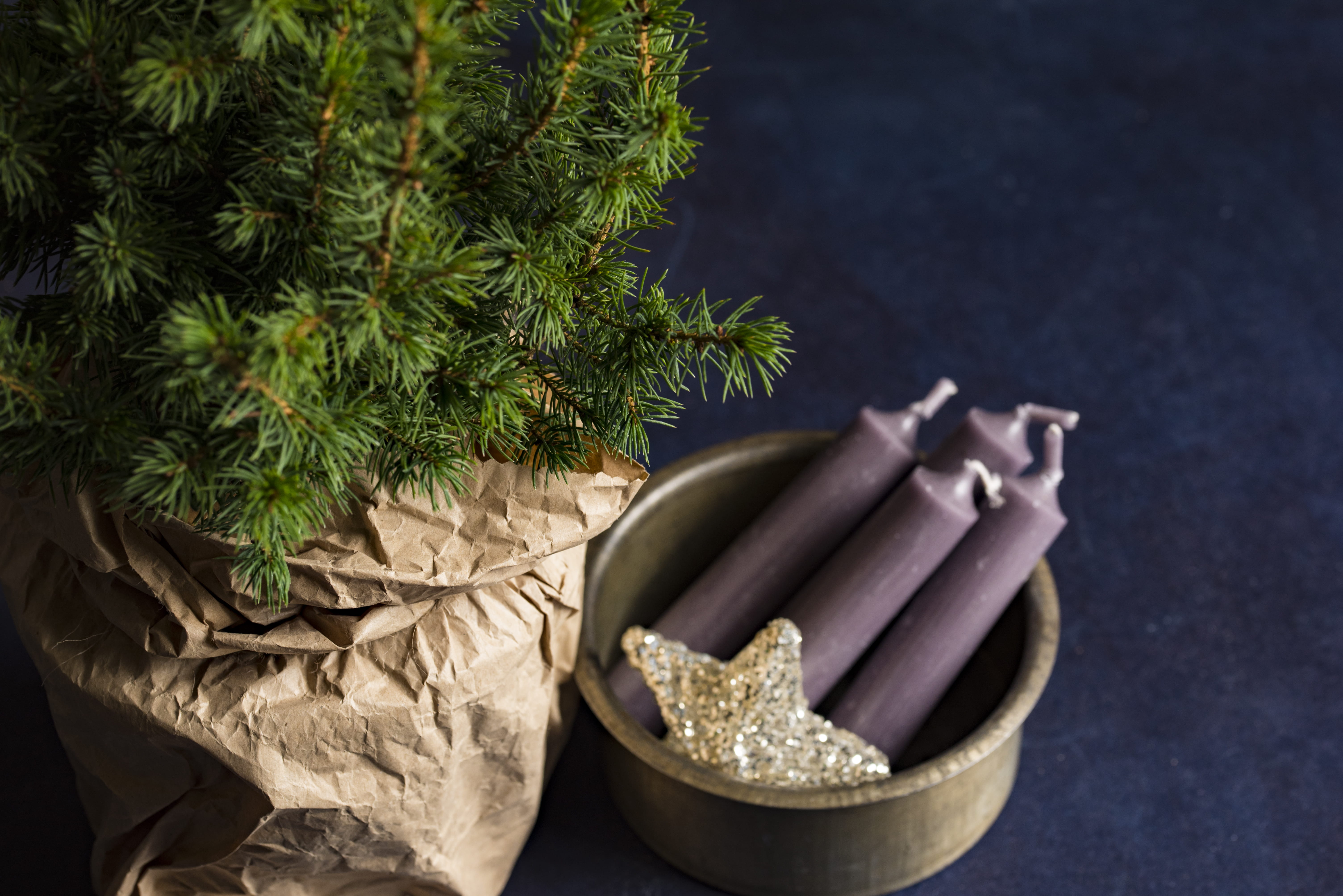 christmas, xma, candles, new year, healthy eating, outdoors, spruce, leaf, purple, festive, star, nature, 5K, pine tree, christma, food and drink, green color, HD Wallpaper
