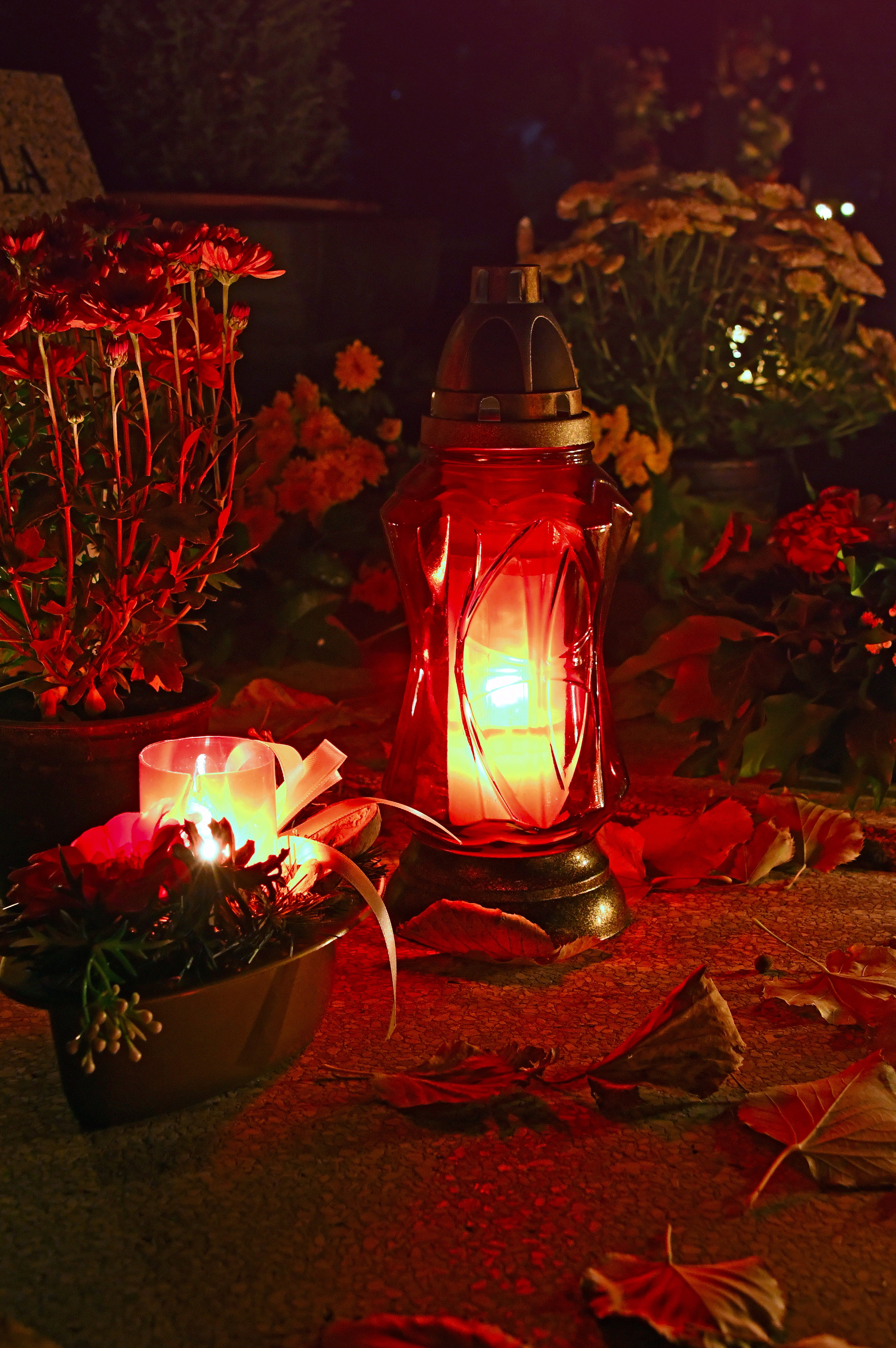 close-up, fire - natural phenomenon, burning, flowering plant, in the evening, lighting, plant, christmas decoration, electric lamp, light, memorial, peace, Phone HD Wallpaper