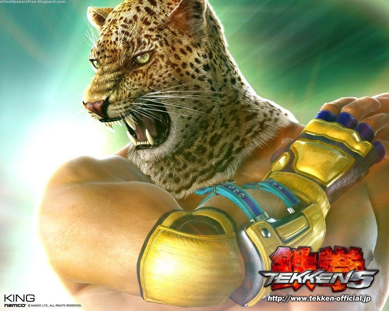 mammal, one animal, communication, mouth, animal, Tekken, pets, domestic animals, 720P, mouth open, no people, feline, whisker, nature, vertebrate, aggression, HD Wallpaper