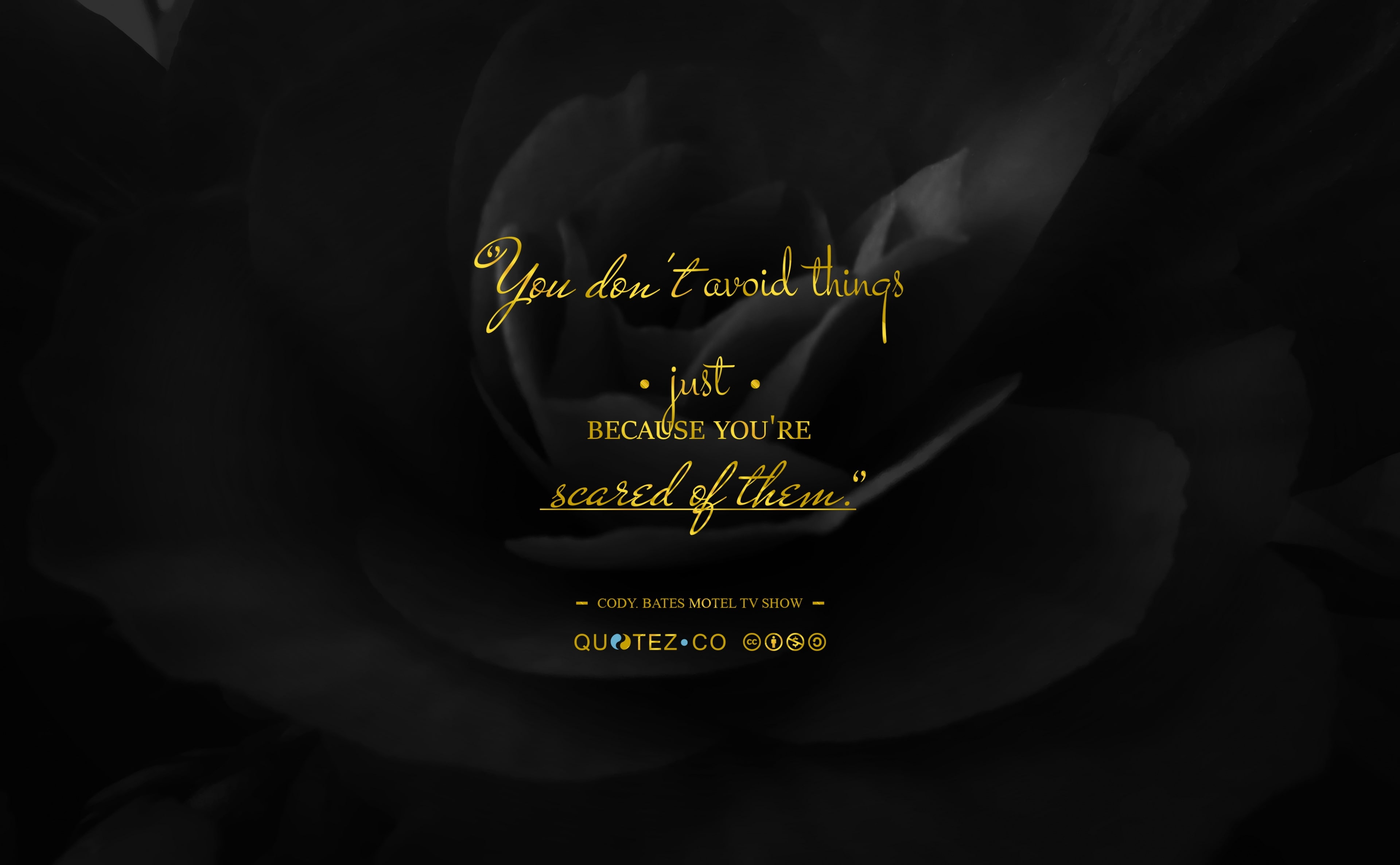 midsection, Typography, sign, black color, studio shot, illuminated, black, black background, overlay, front view, scared, close-up, 4K, quote, healthcare and medicine, HD Wallpaper