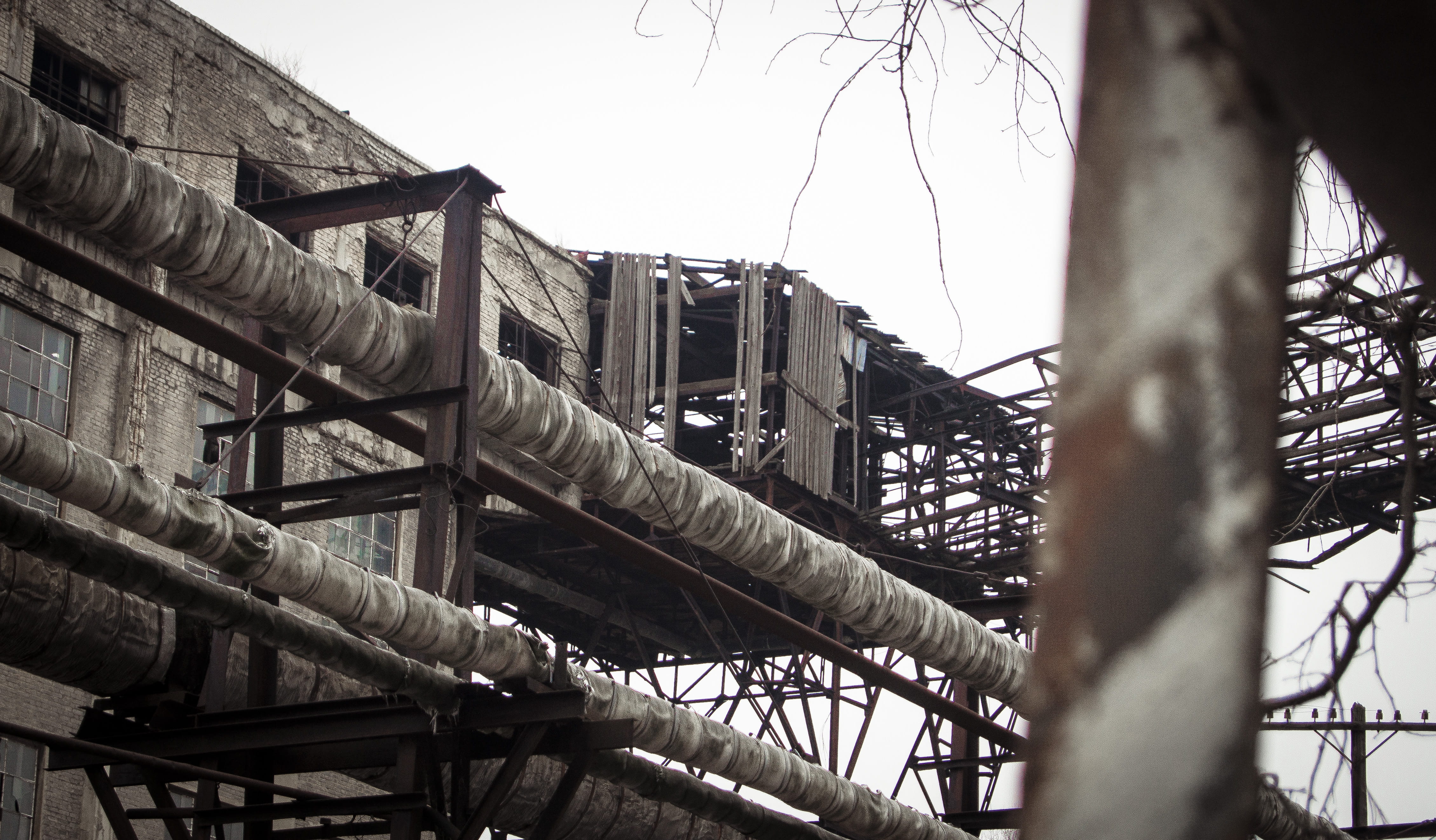 transportation, built structure, nature, factory, bare tree, metal, old, tree, windows, bridge, low angle view, clear sky, no people, focus on background, HD Wallpaper