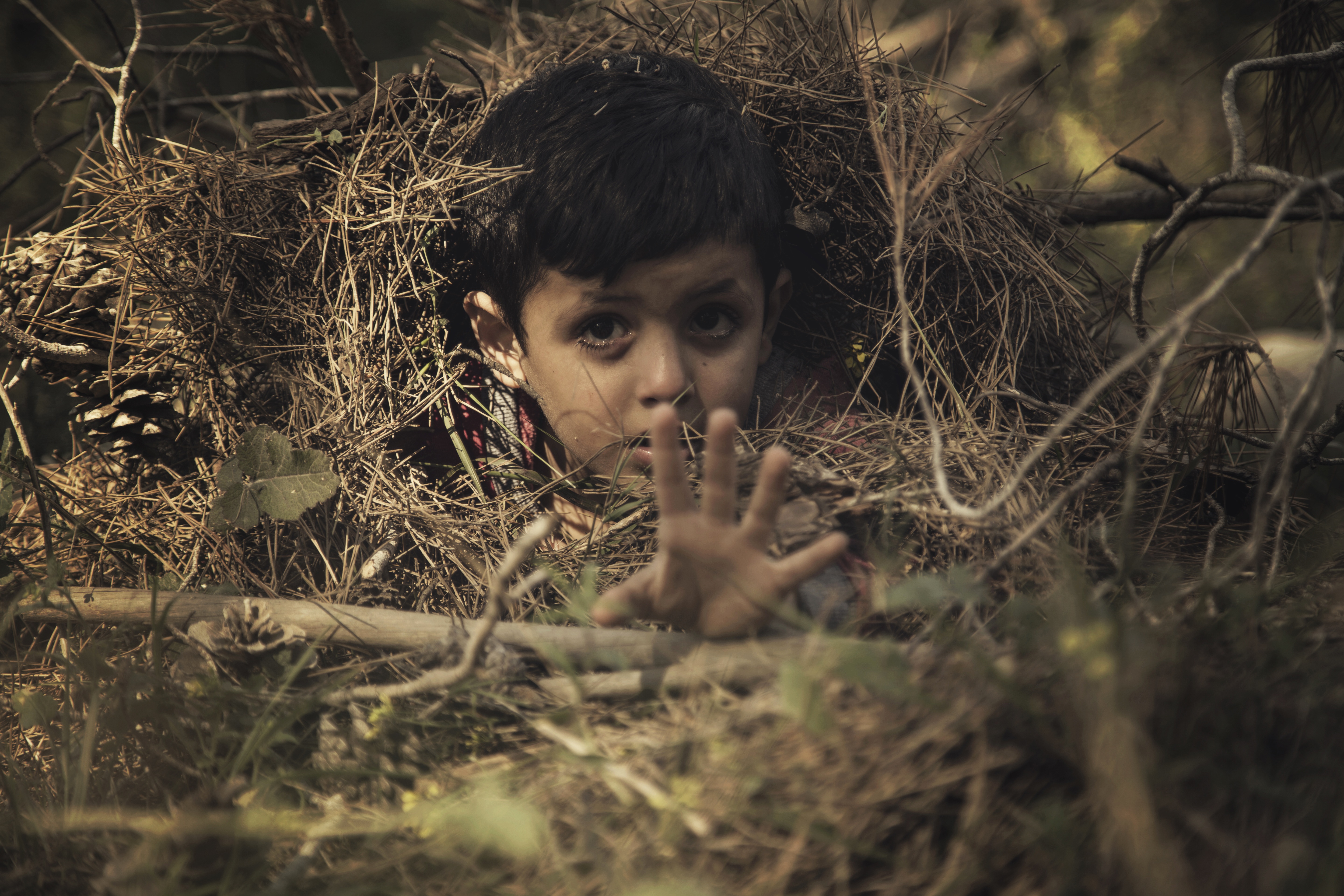 hay, young men, looking at camera, day, front view, selective focus, young adult, 5K, land, outdoors, child, hand, plant, shallow, boy, headshot, help, HD Wallpaper