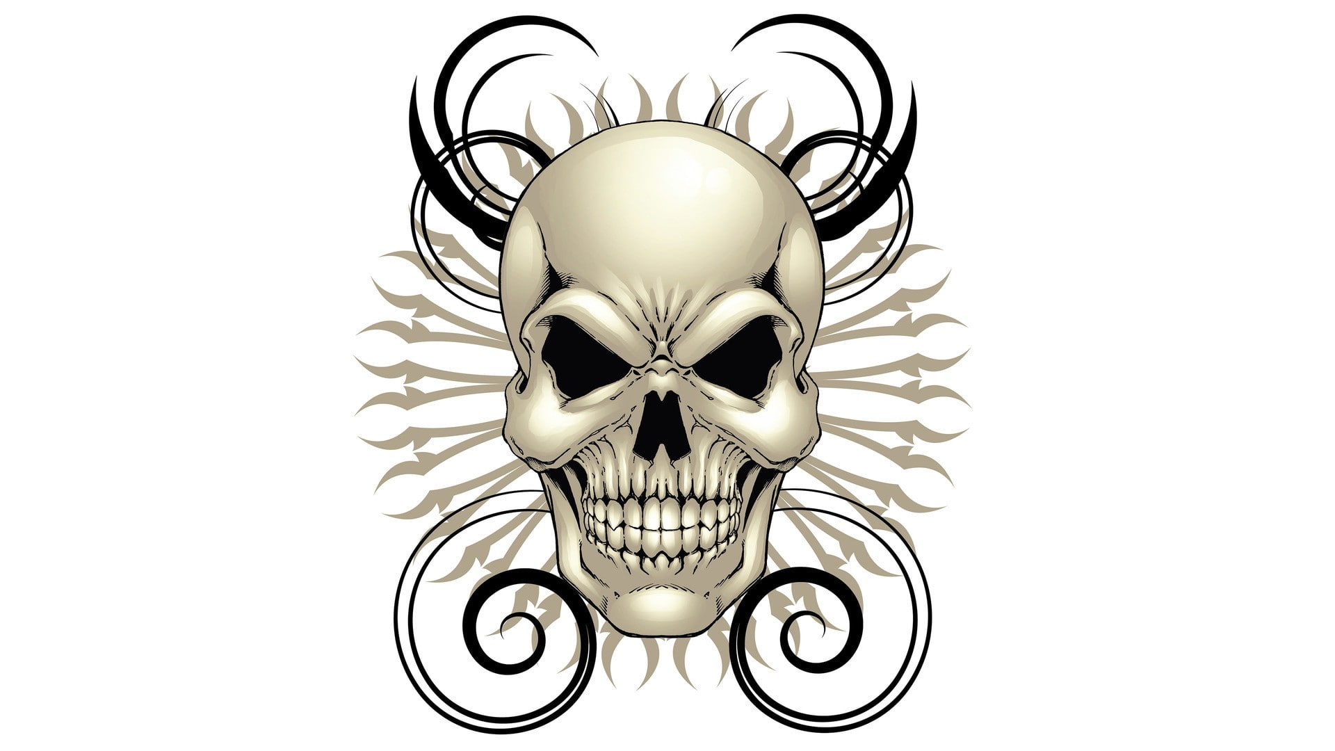 digital art, cut out, indoors, pattern, studio shot, skull, design, decoration, single object, directly below, shape, white color, lighting equipment, white background, HD Wallpaper