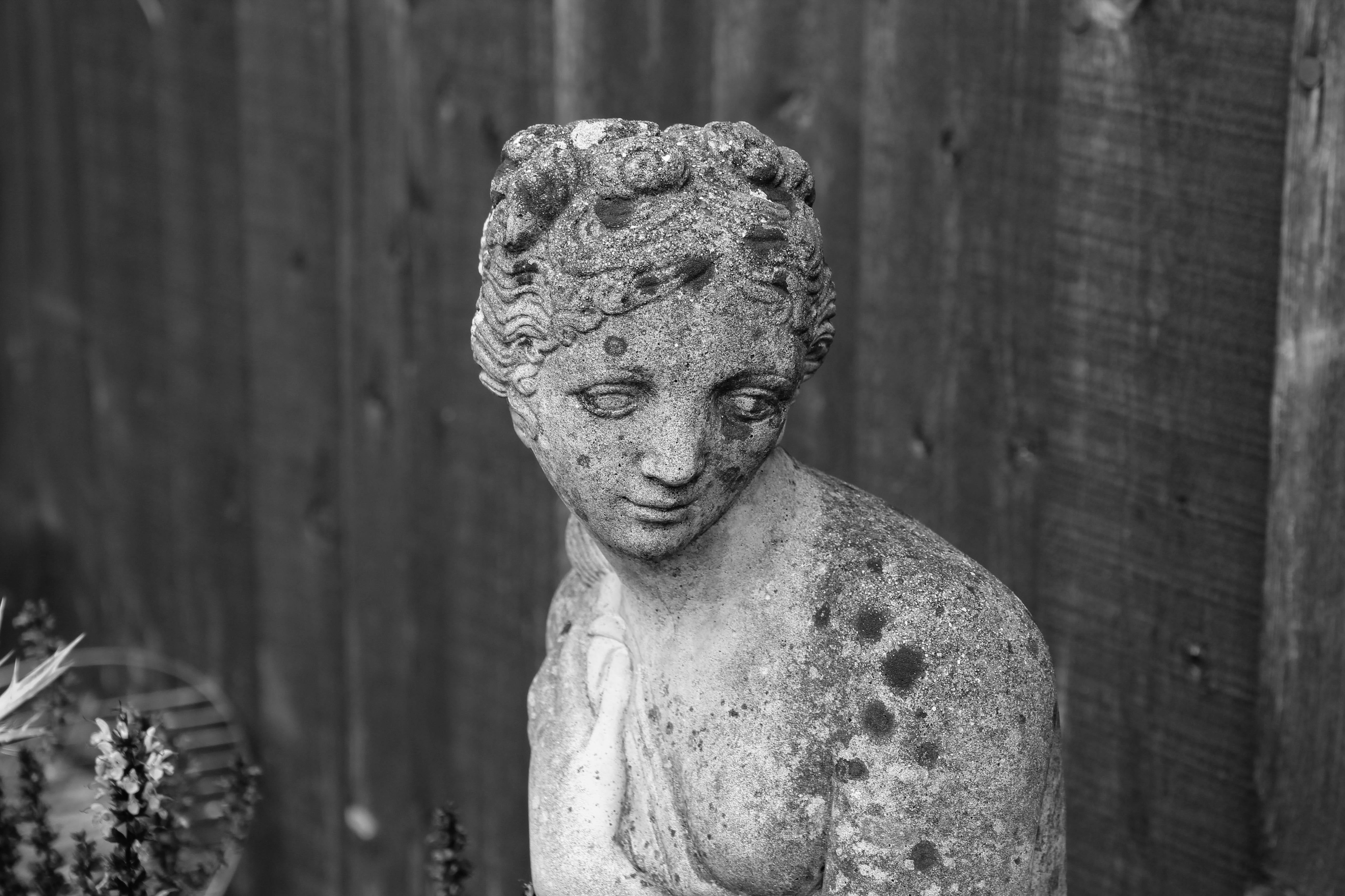 carving - craft product, russell smith, forgiveness, religious, day, 5K, despair, religion, portrait, human representation, black and white, focus on foreground, HD Wallpaper