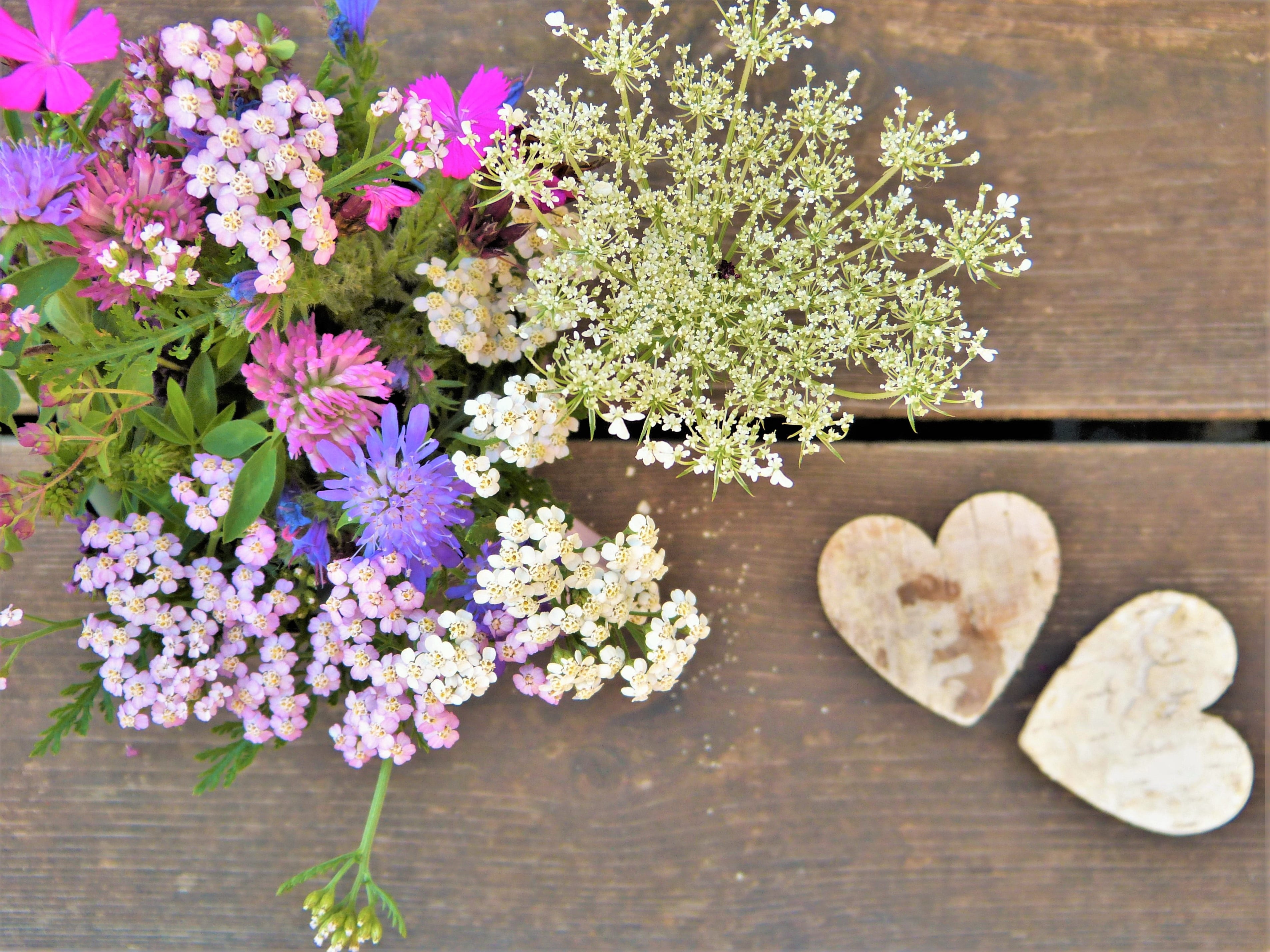 wedding day, indoors, close-up, bouquet, nature, flowering plant, 2K, inflorescence, wildflowers, wood, protection of species, nature conservation, directly above, HD Wallpaper
